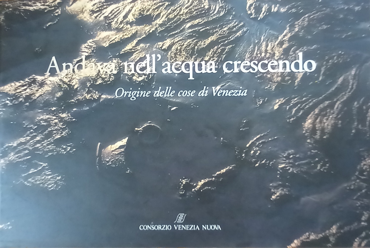 ANDAVA NELL'ACQUA CRESCENDO. ORIGINE DELLE COSE DI VENEZIA