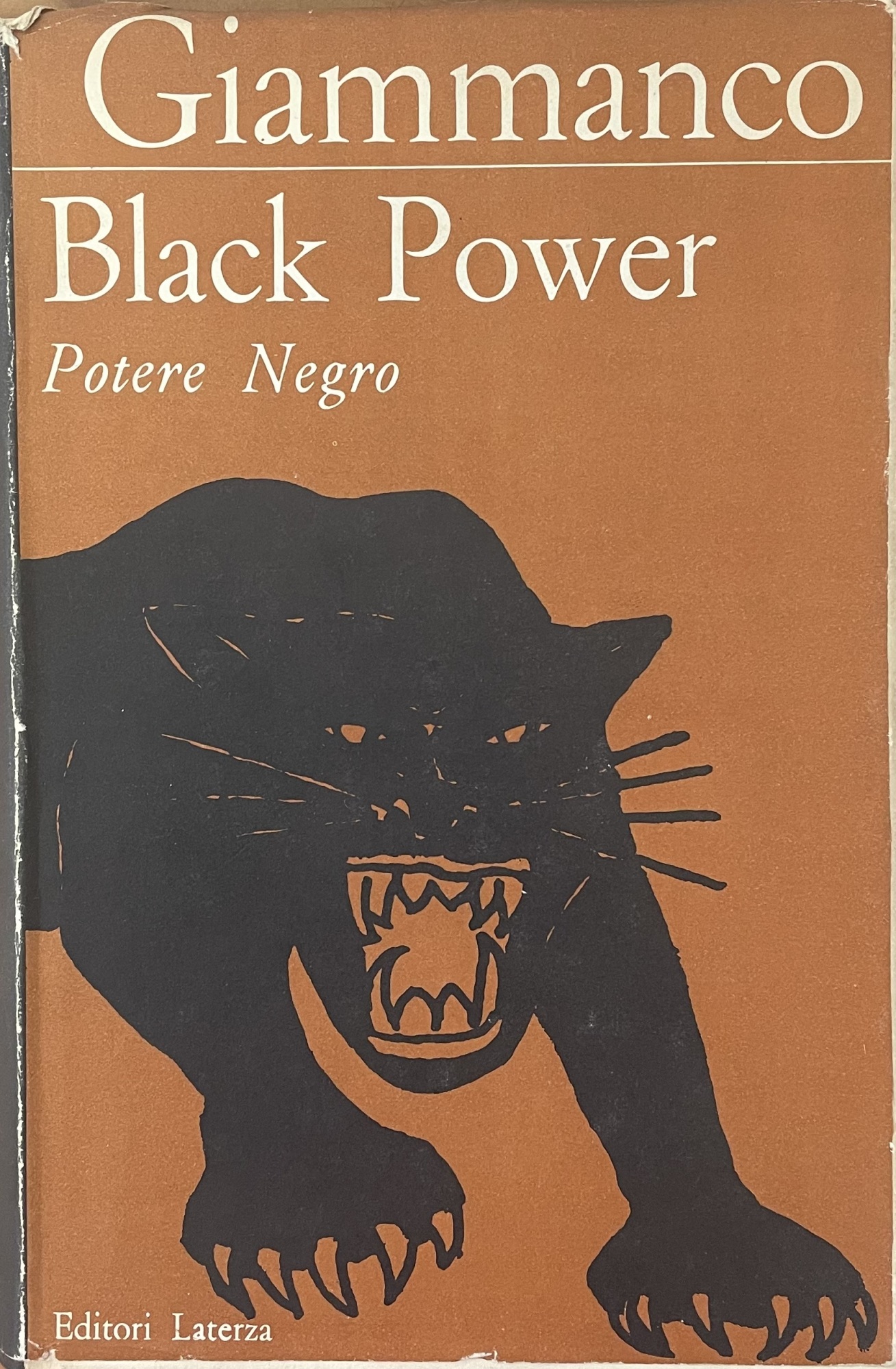 BLACK POWER. POTERE NEGRO. ANALISI E TESTIMONIANZE