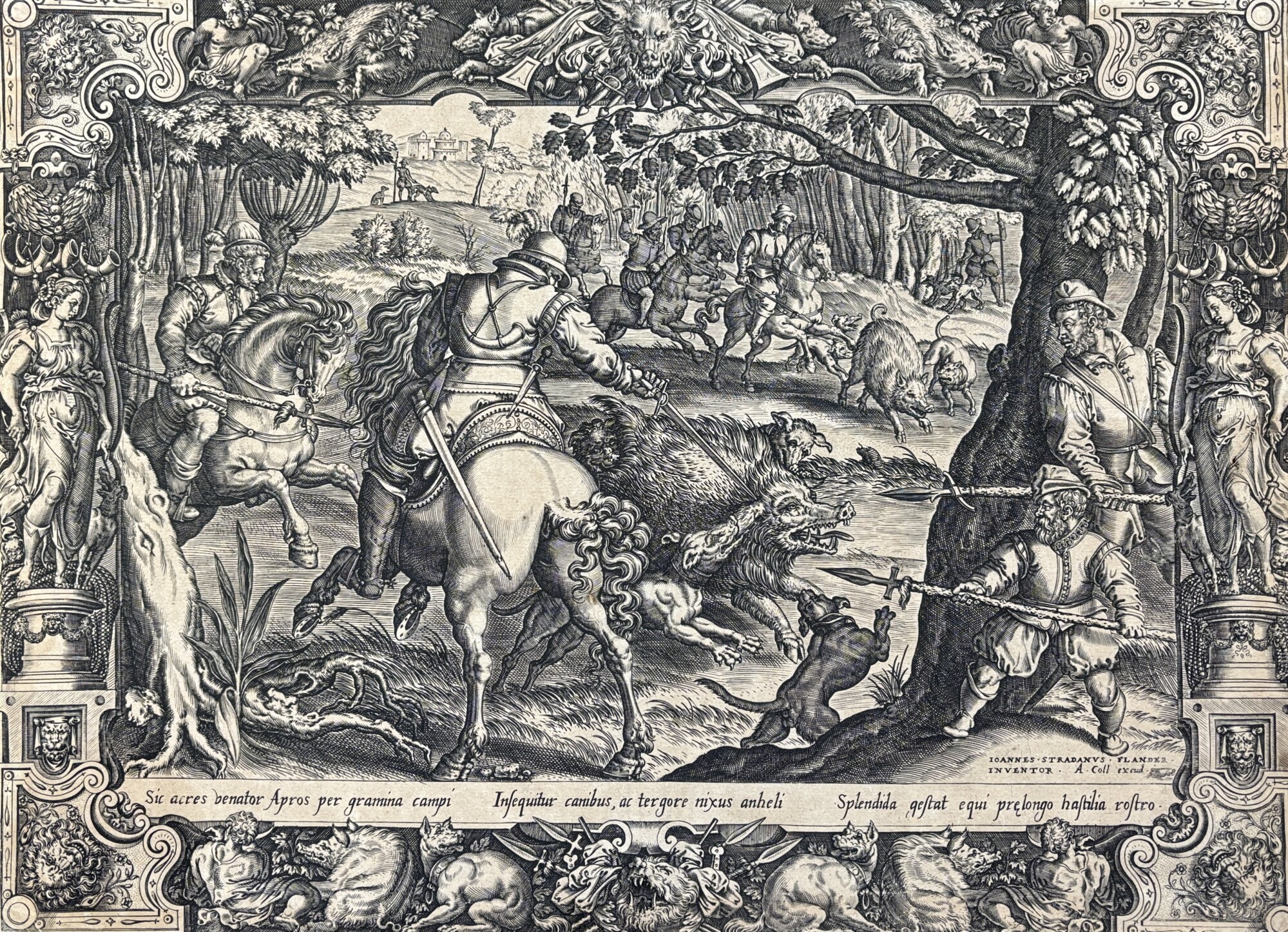CACCIA AL CINGHIALE