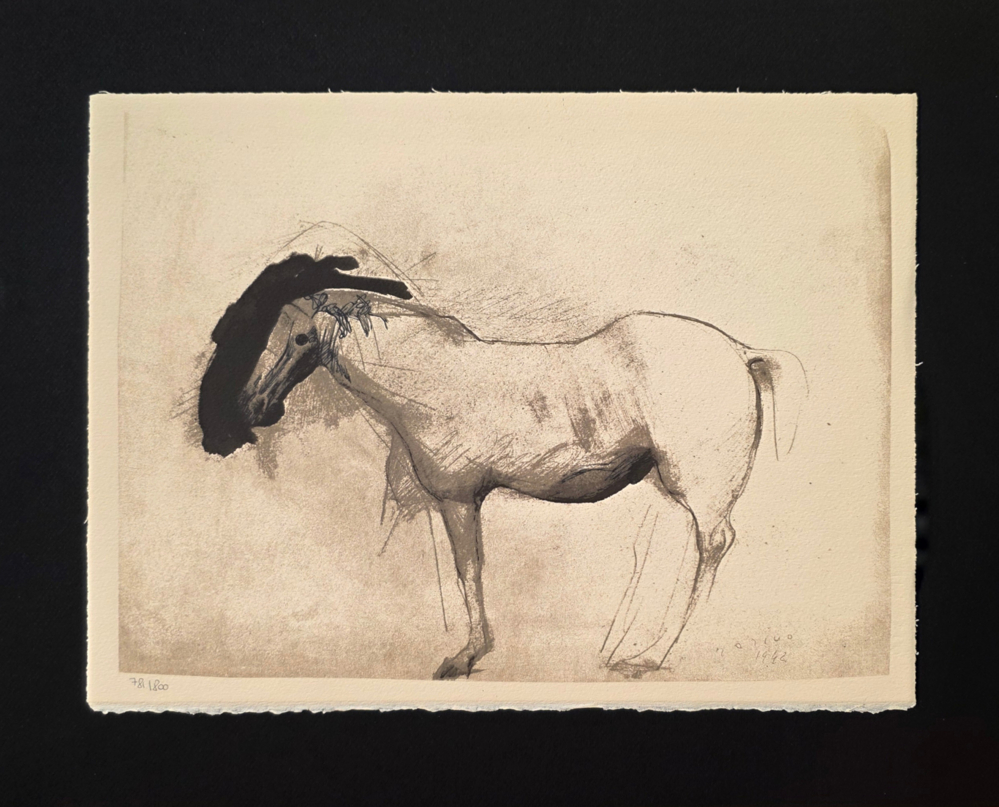 CAVALLO
