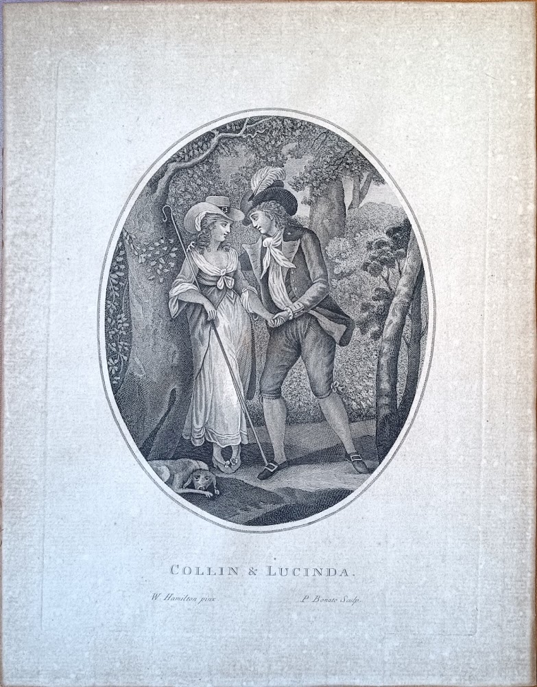 COLLIN &amp; LUCINDA