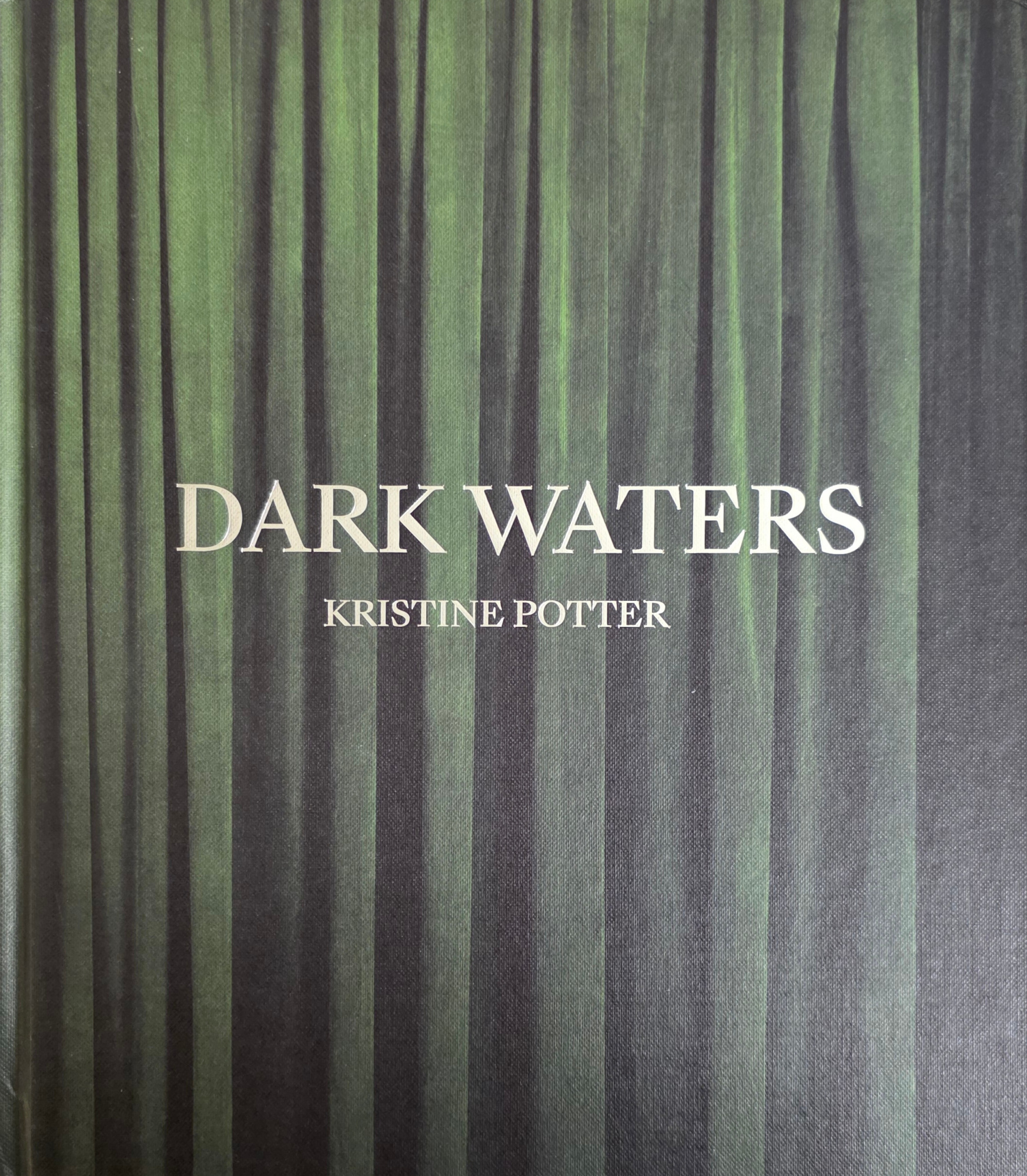 DARK WATERS. KRISTINE POTTER