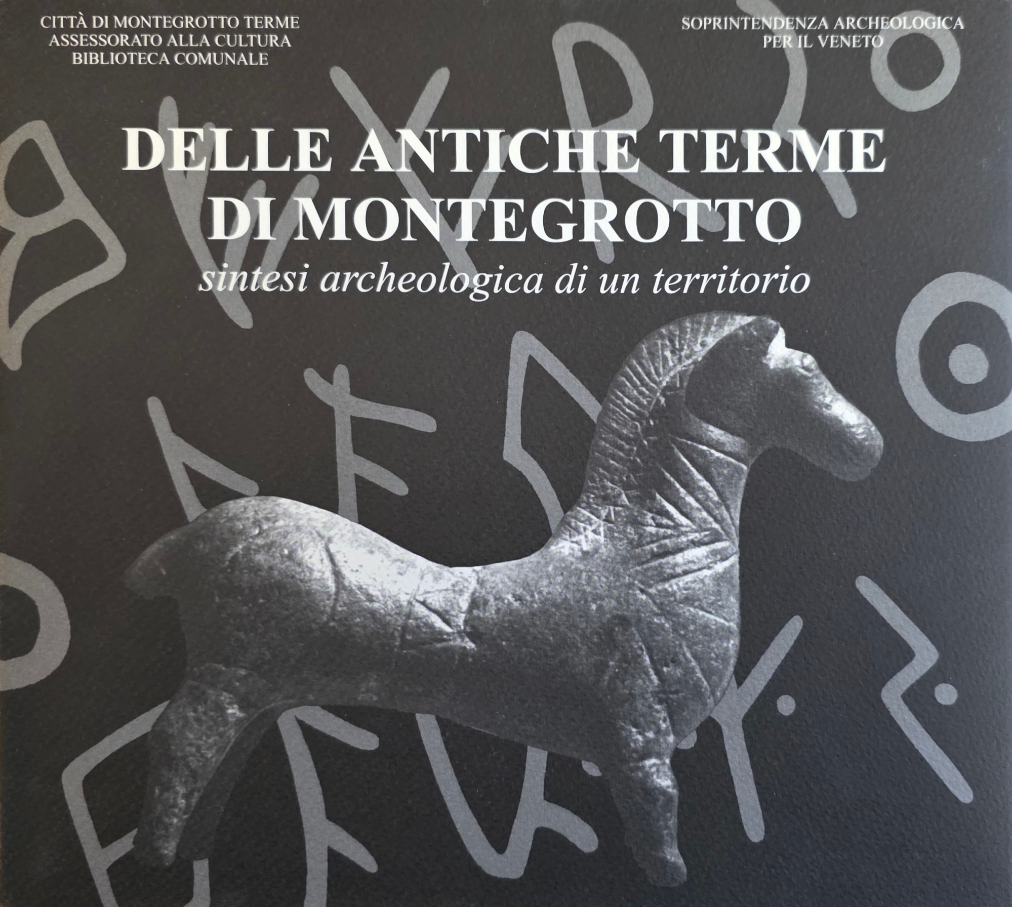 DELLE ANTICHE TERME DI MONTEGROTTO. SINTESI ARCHEOLOGICA DI UN TERRITORIO