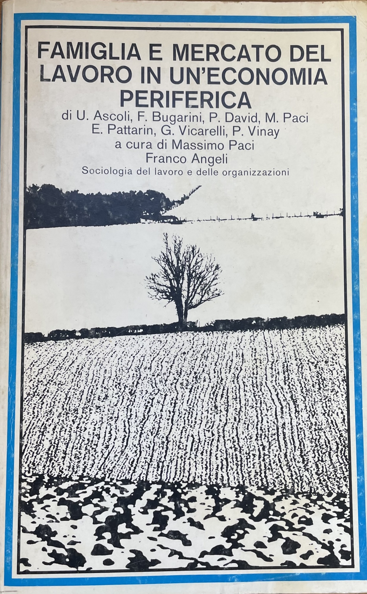 FAMIGLIA E MERCATO DEL LAVORO IN UN' ECONOMIA PERIFERICA