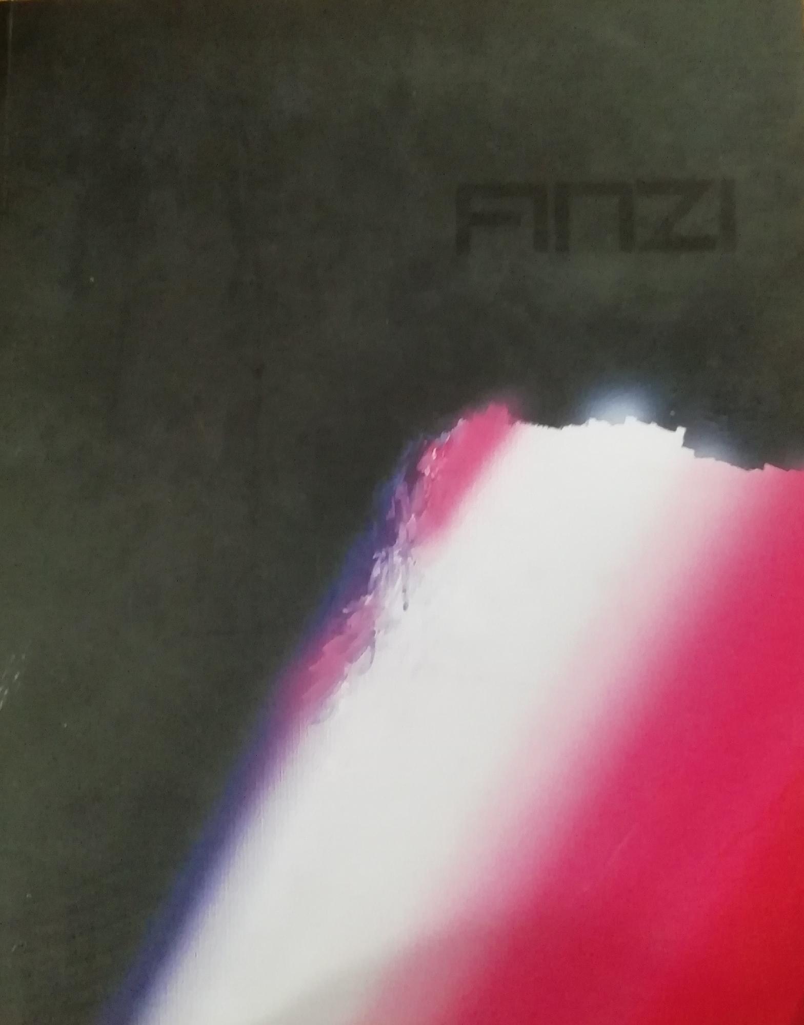 FINZI. DAL NERO AL NON COLORE. OPERE 1950-2010