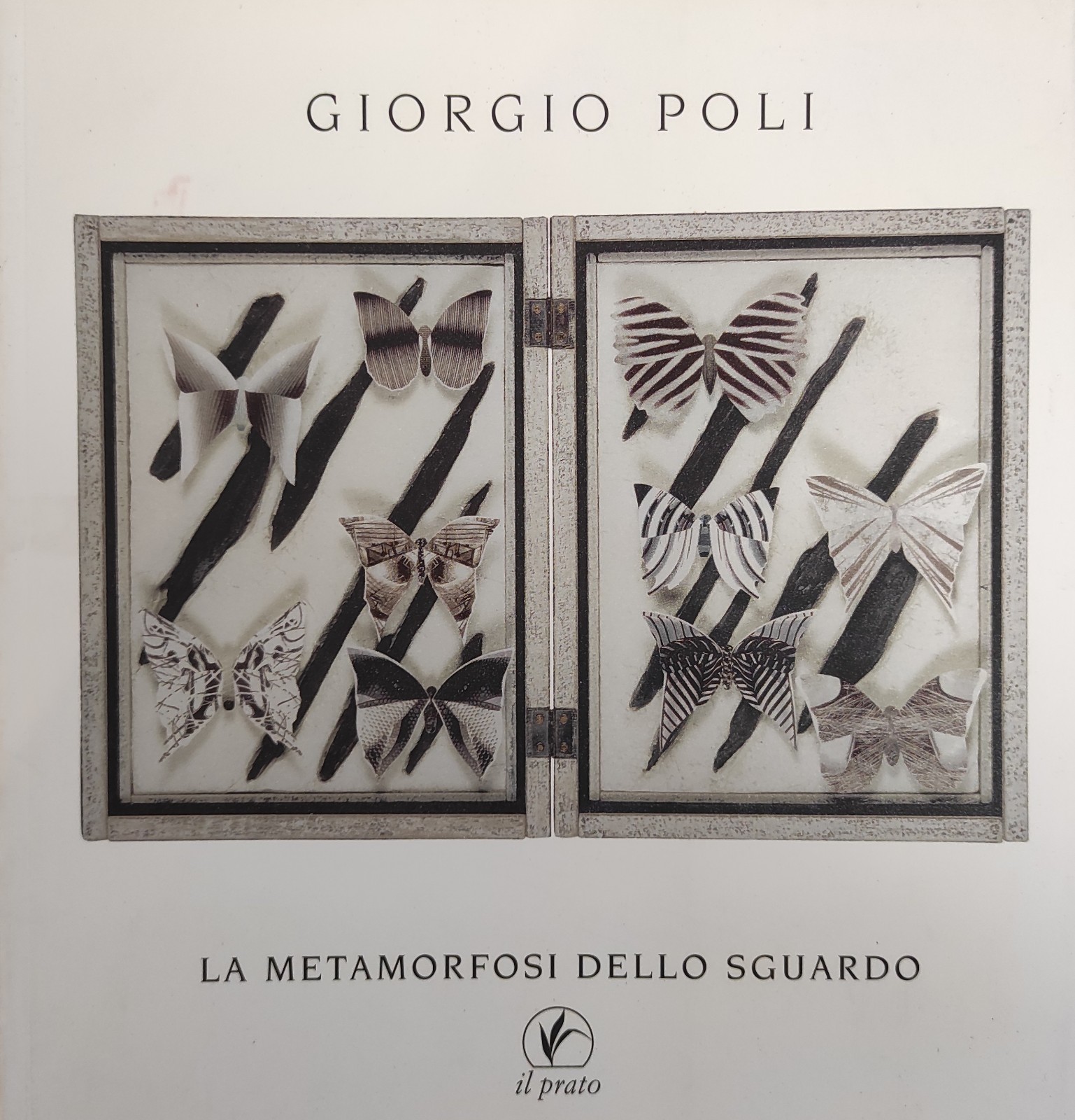 GIORGIO POLI. LA METAMORFOSI DELLO SGUARDO