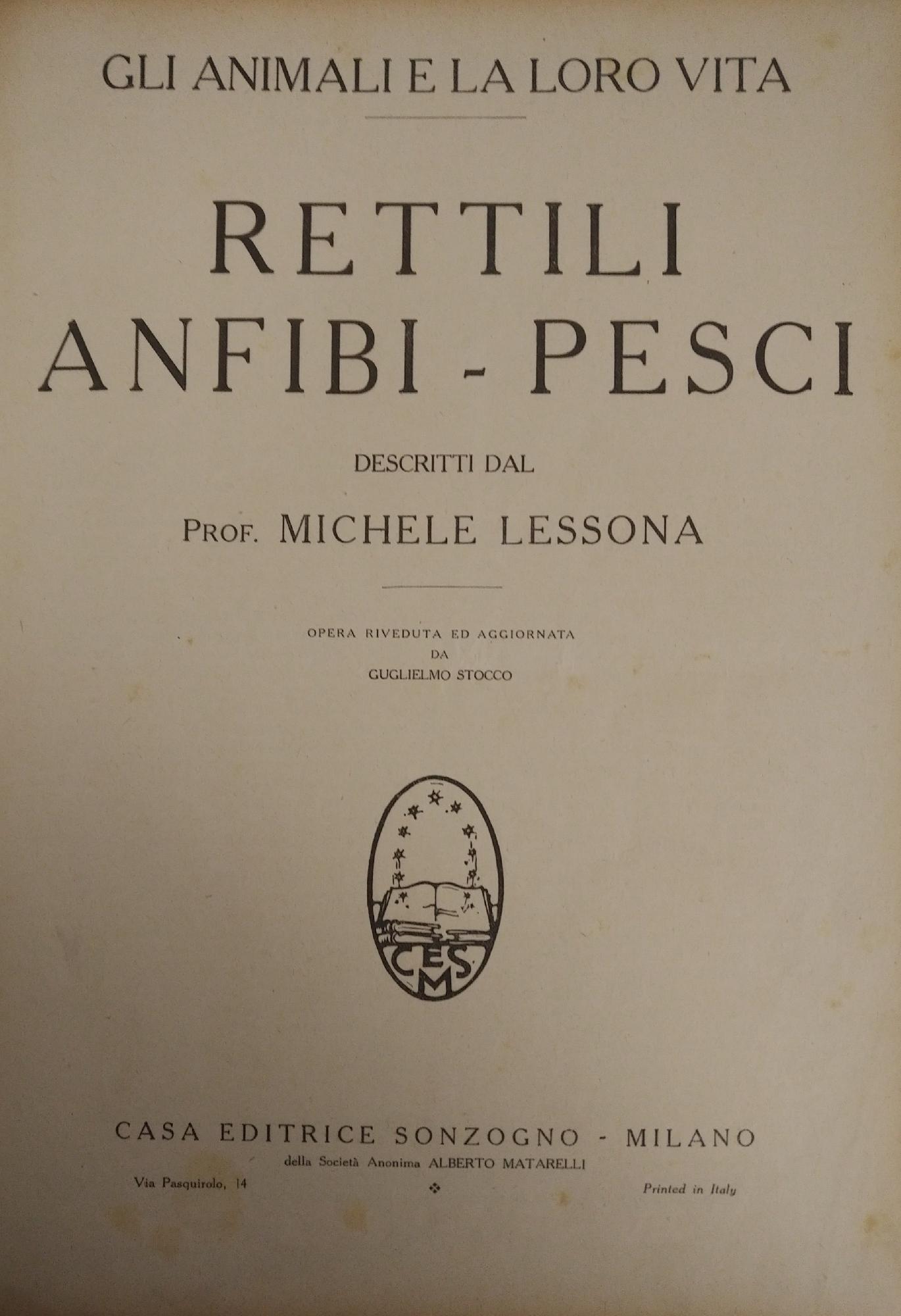 GLI ANIMALI E LA LORO VITA. RETTILI - ANFIBI - …