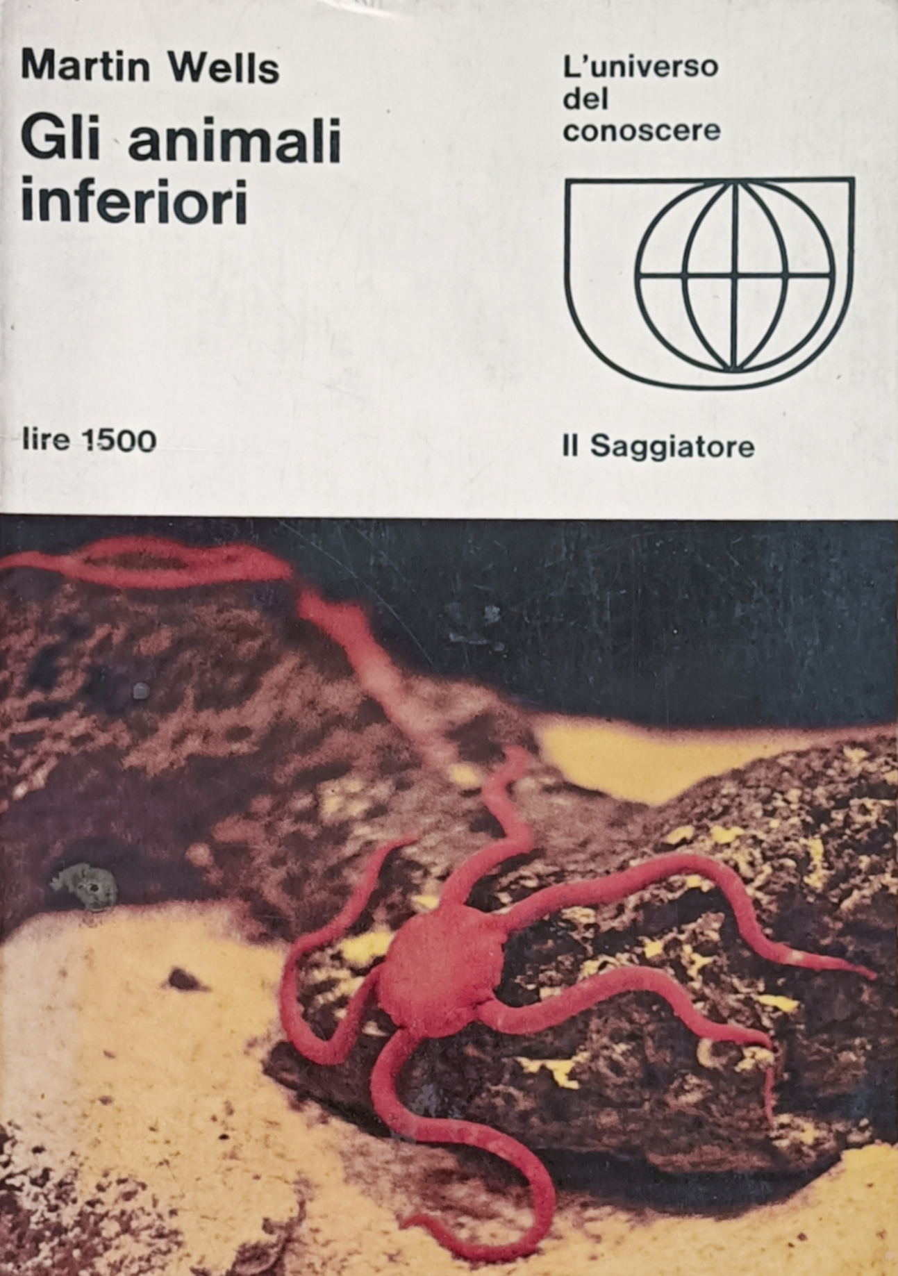 GLI ANIMALI INFERIORI