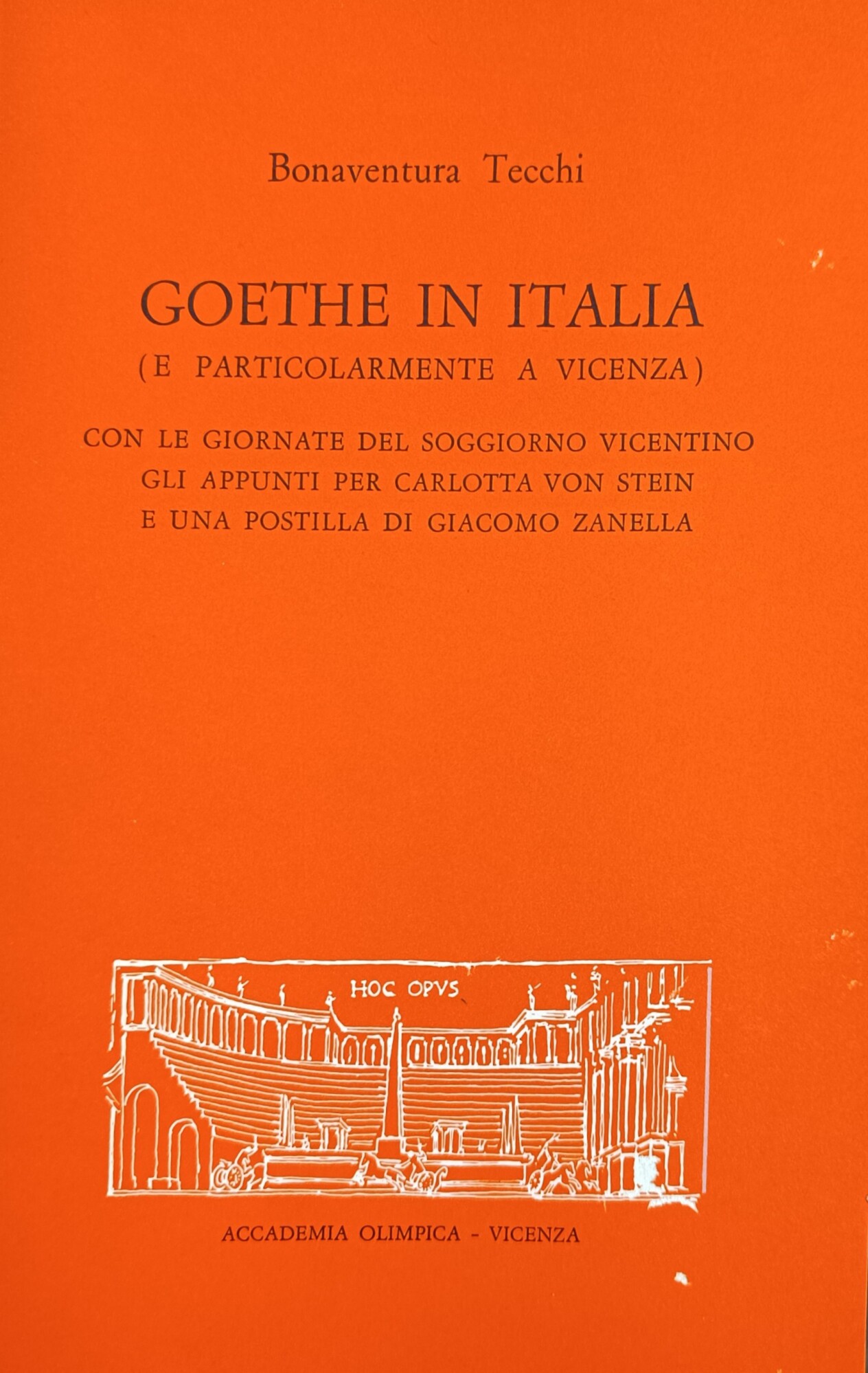 GOETHE IN ITALIA (E PARTICOLARMENTE A VICENZA)