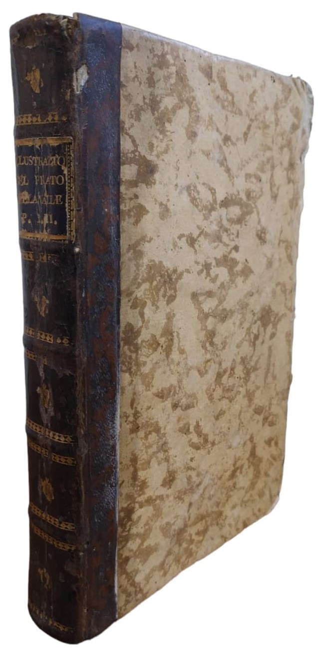 ILLUSTRAZIONE DEL PRATO DELLA VALLE OSSIA DELLA PIAZZA DELLE STATUE …