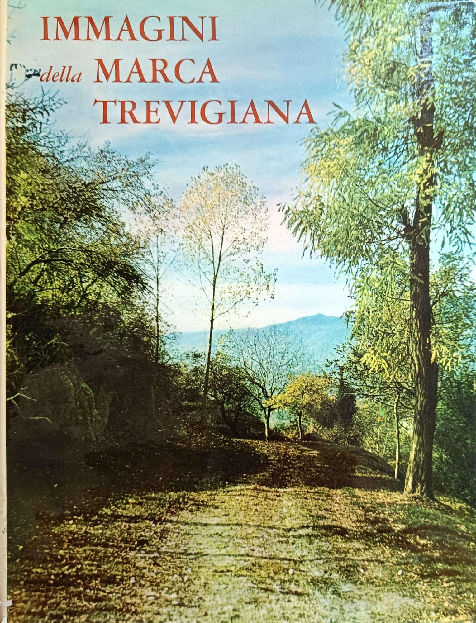 IMMAGINI DELLA MARCA TREVIGIANA