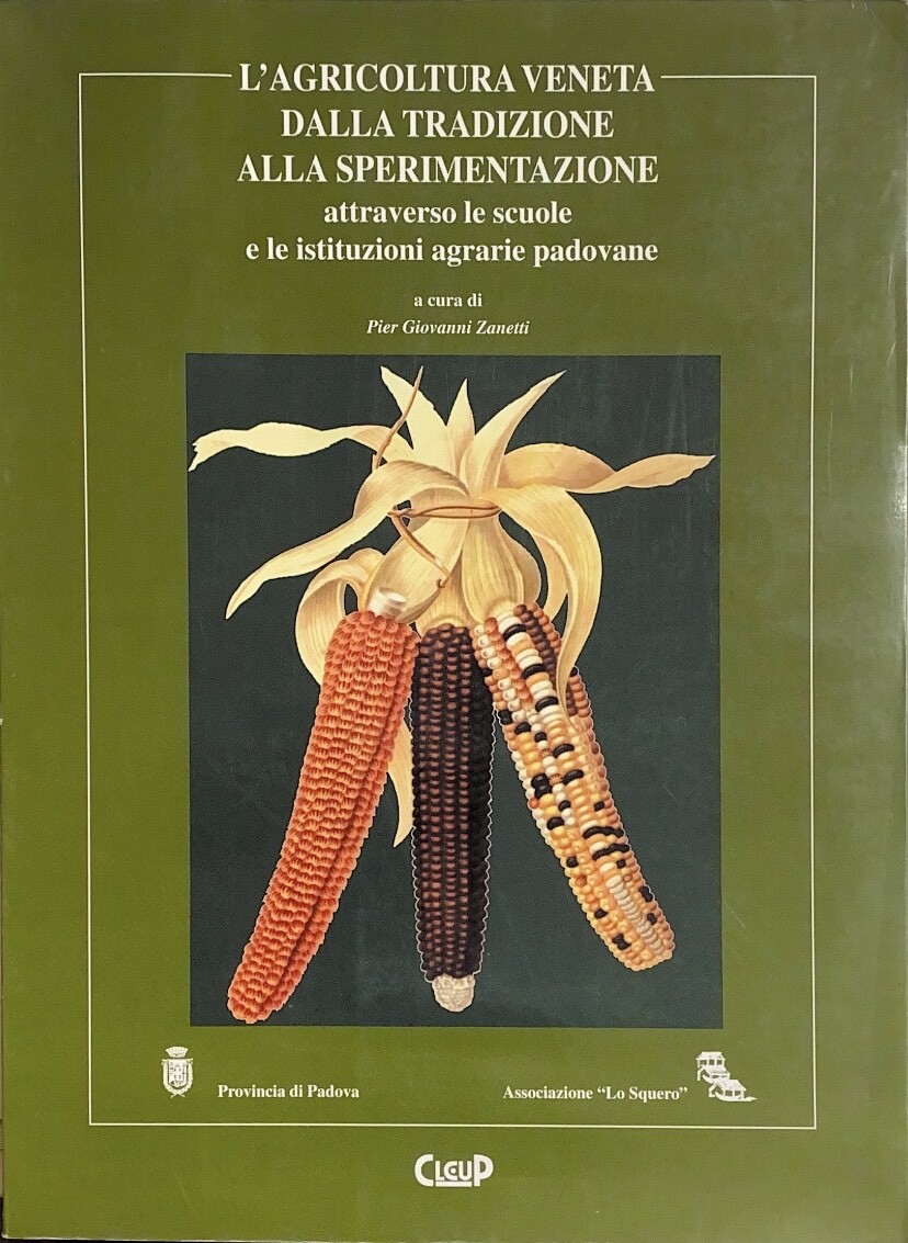 L' AGRICOLTURA VENETA DALLA TRADIZIONE ALLA SPERIMENTAZIONE ATTRAVERSO LE SCUOLE …