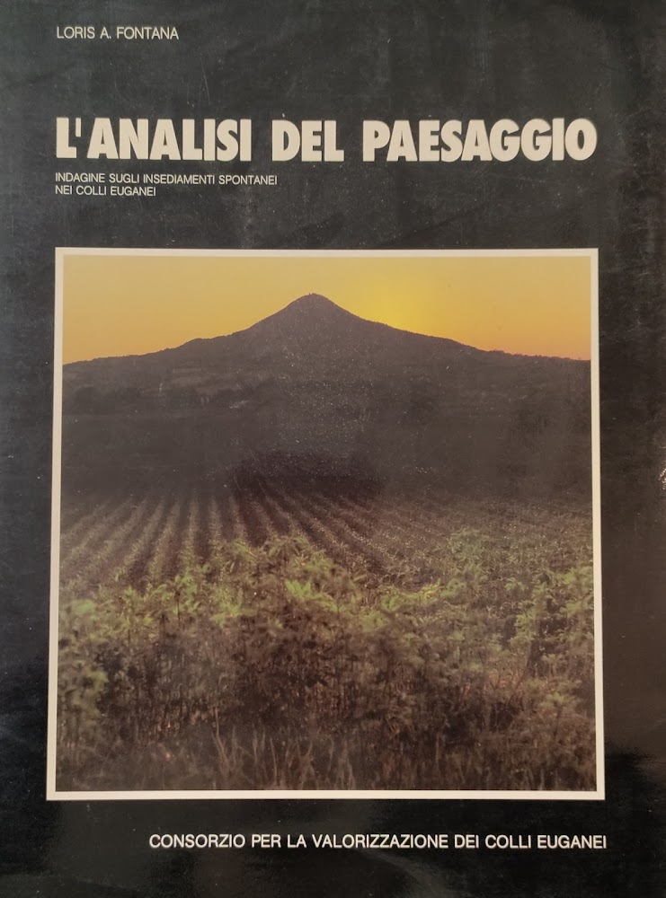 L' ANALISI DEL PAESAGGIO. INDAGINE SUGLI INSEDIAMENTI SPONTANEI