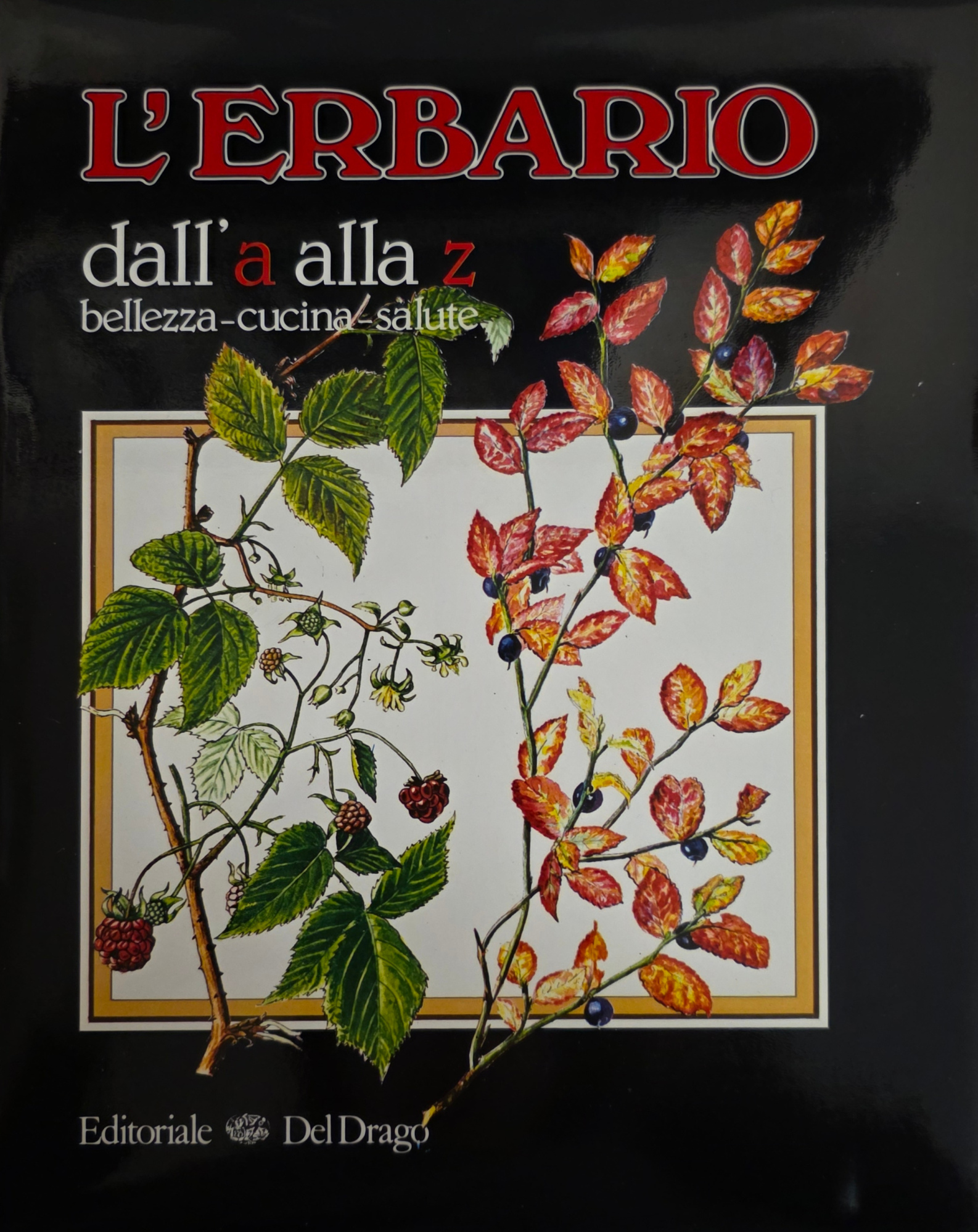 L' ERBARIO DALL' A ALLA Z. BELLEZZA - CUCINA - …