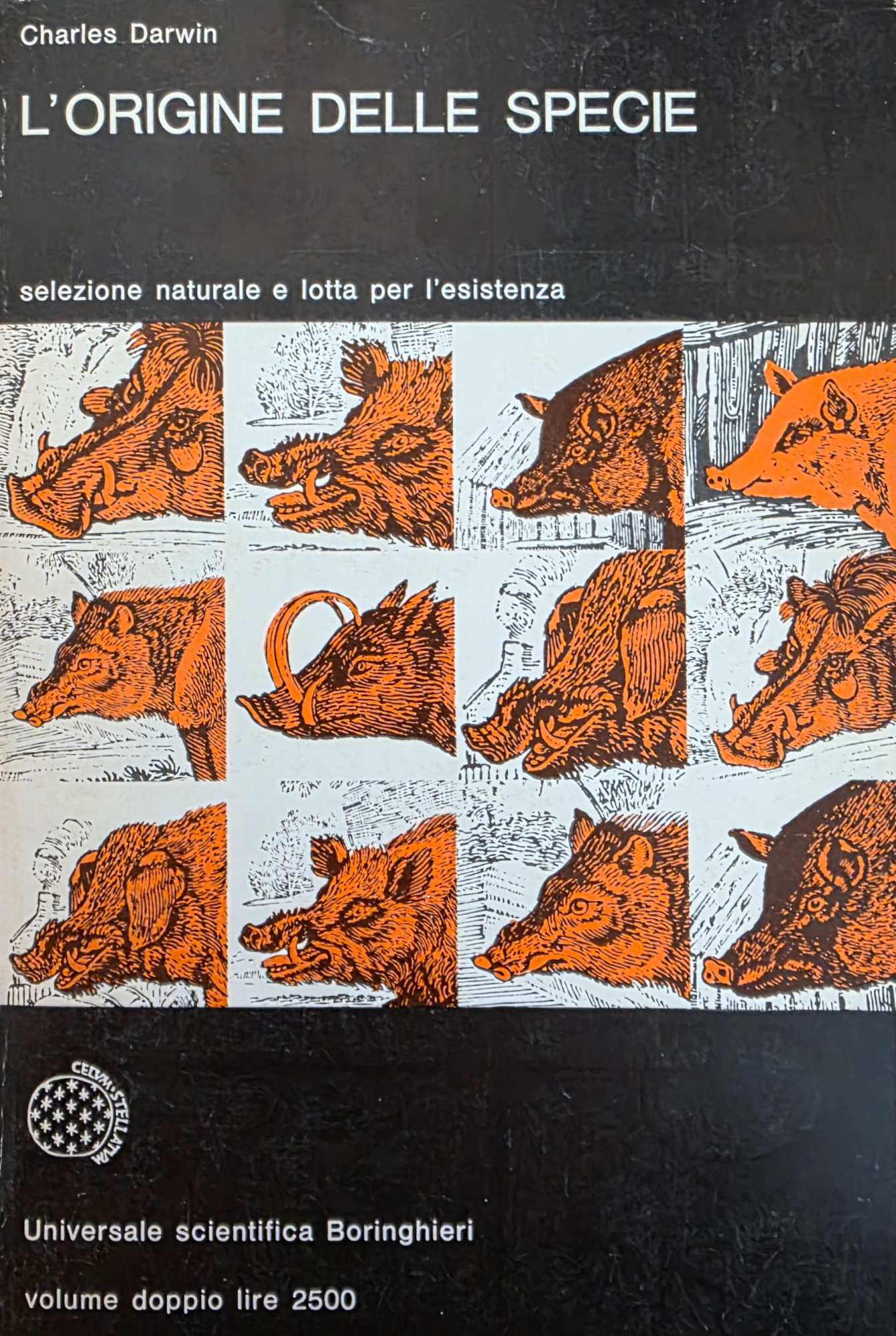 L' ORIGINE DELLE SPECIE. SELEZIONE NATURALE E LOTTA PER L' …