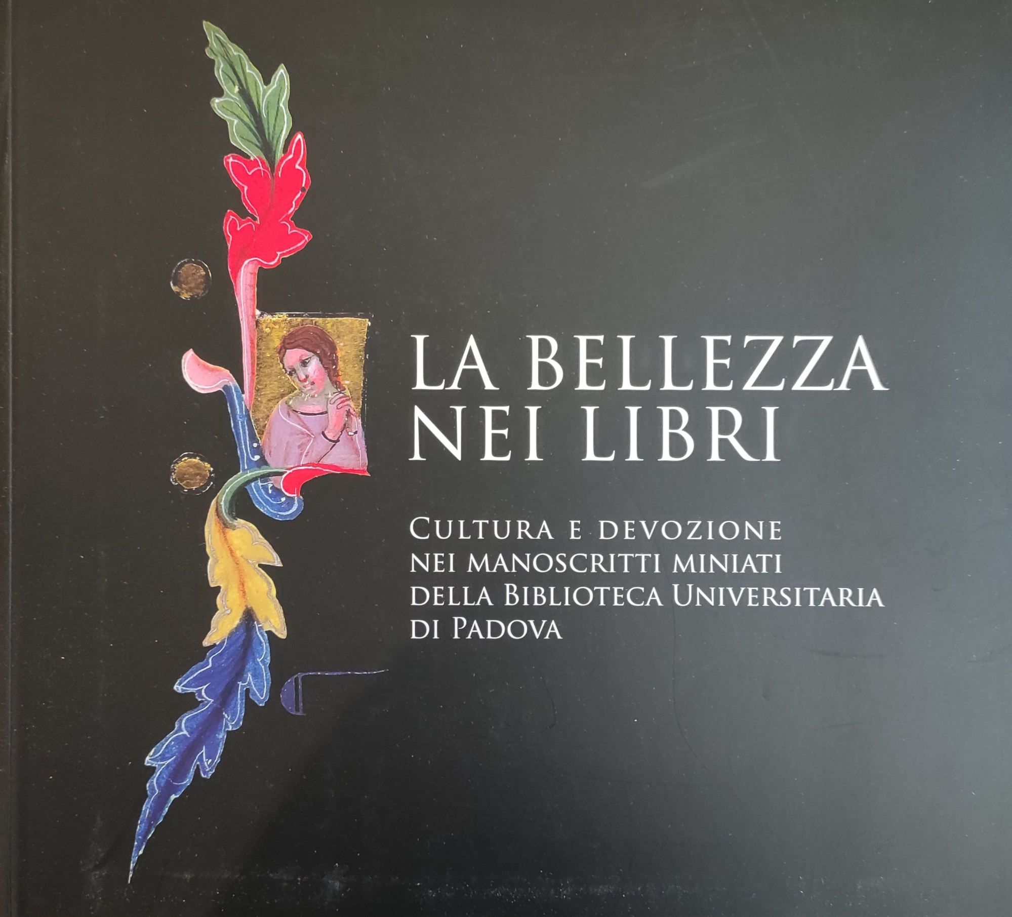 LA BELLEZZA NEI LIBRI