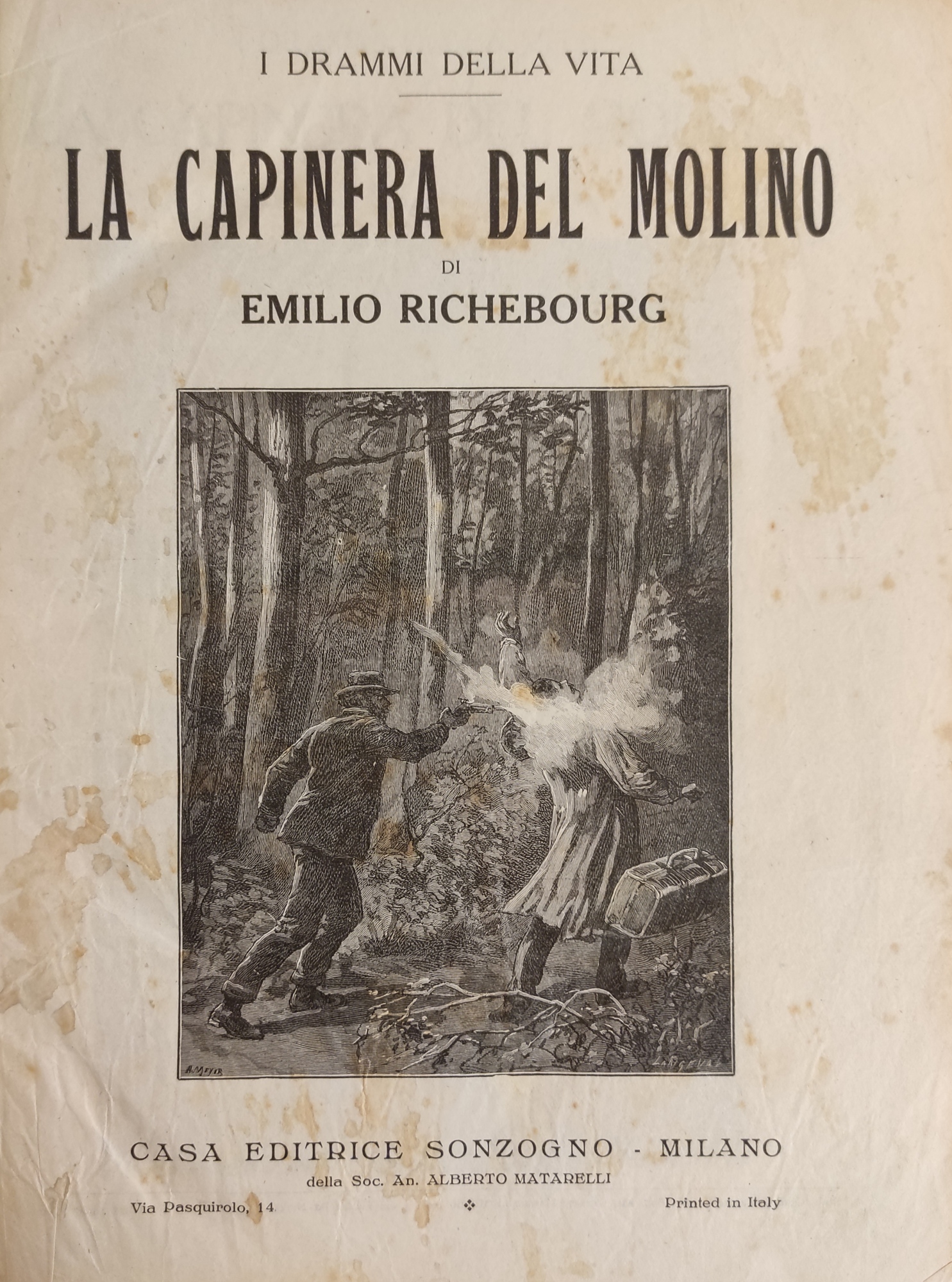 LA CAPINERA DEL MOLINO