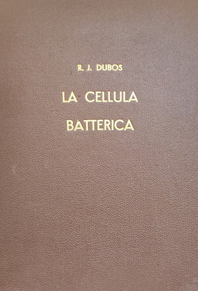LA CELLULA BATTERICA