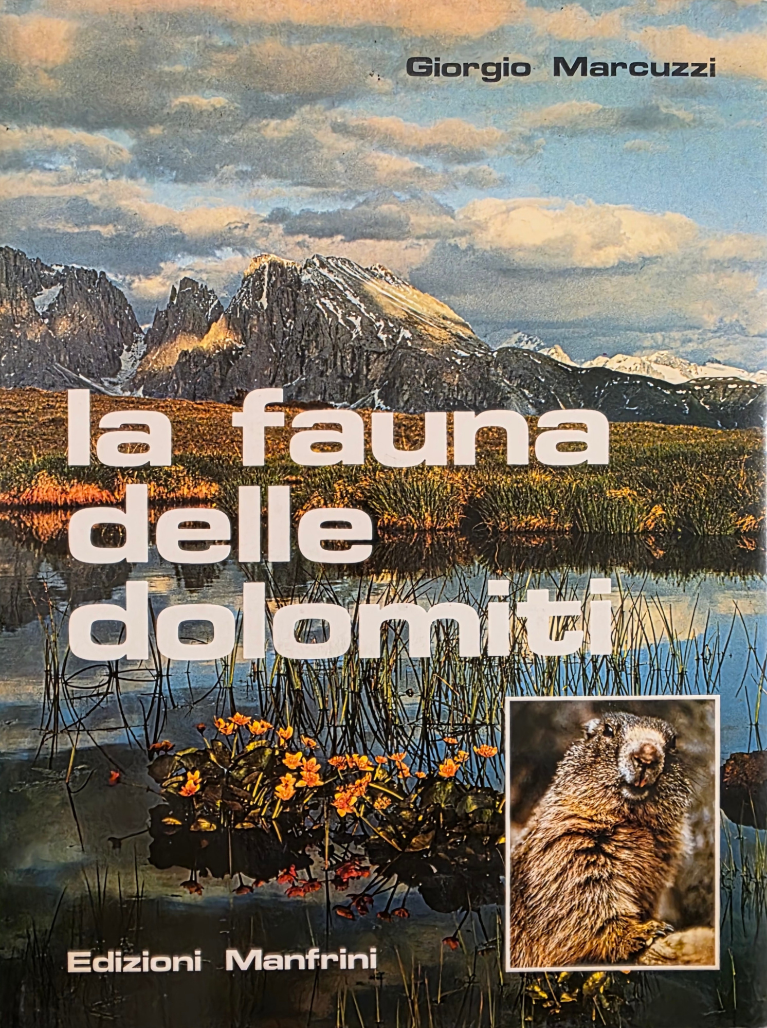 LA FAUNA DELLE DOLOMITI