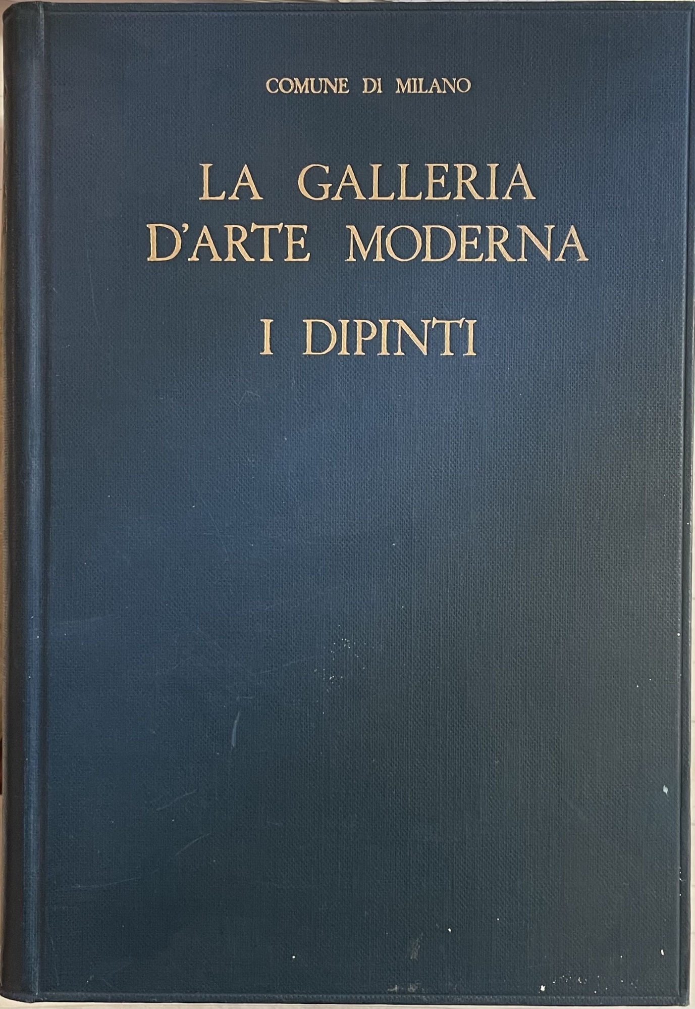 LA GALLERIA D'ARTE MODERNA. I DIPINTI