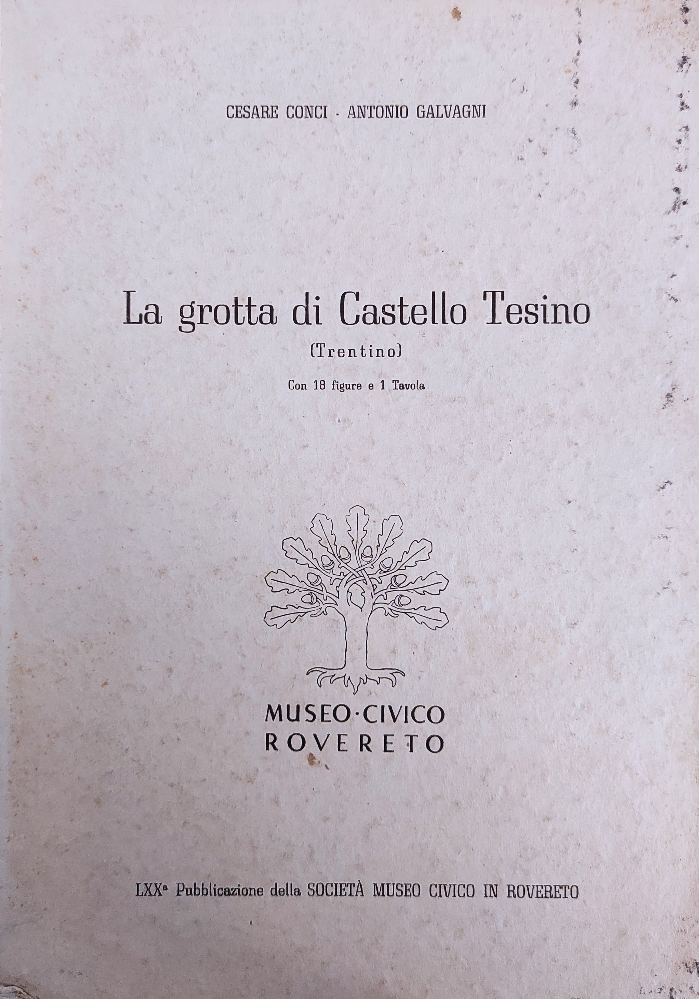 LA GROTTA DI CASTELLO TESINO (TRENTINO)