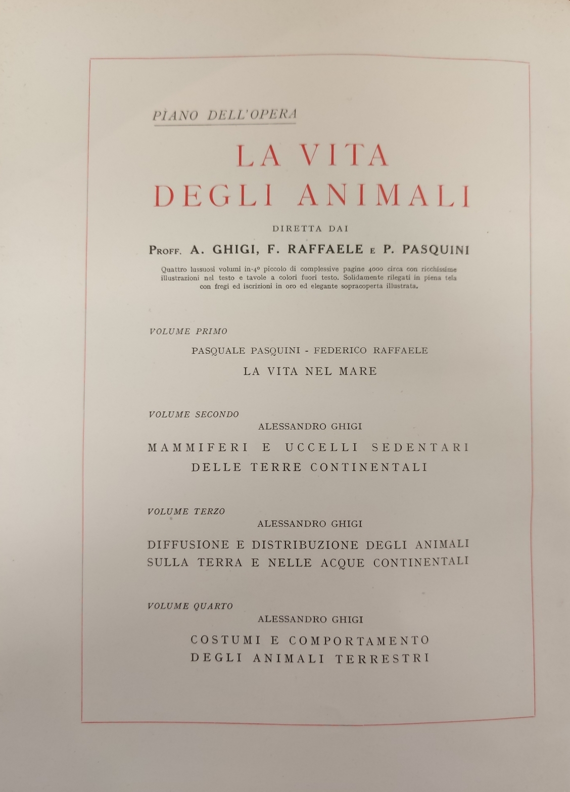 LA VITA DEGLI ANIMALI