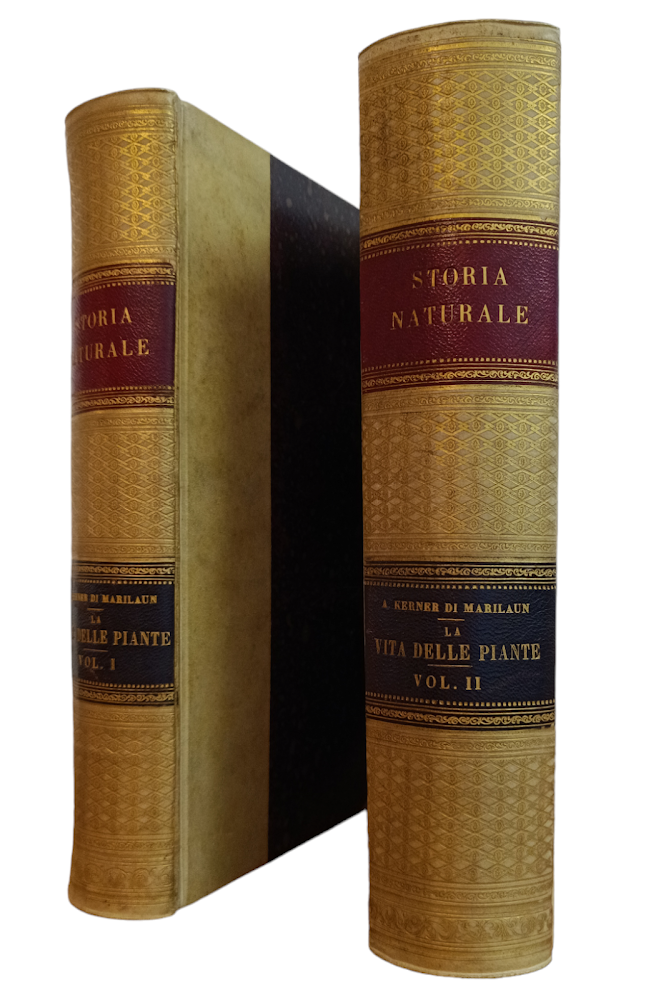 LA VITA DELLE PIANTE