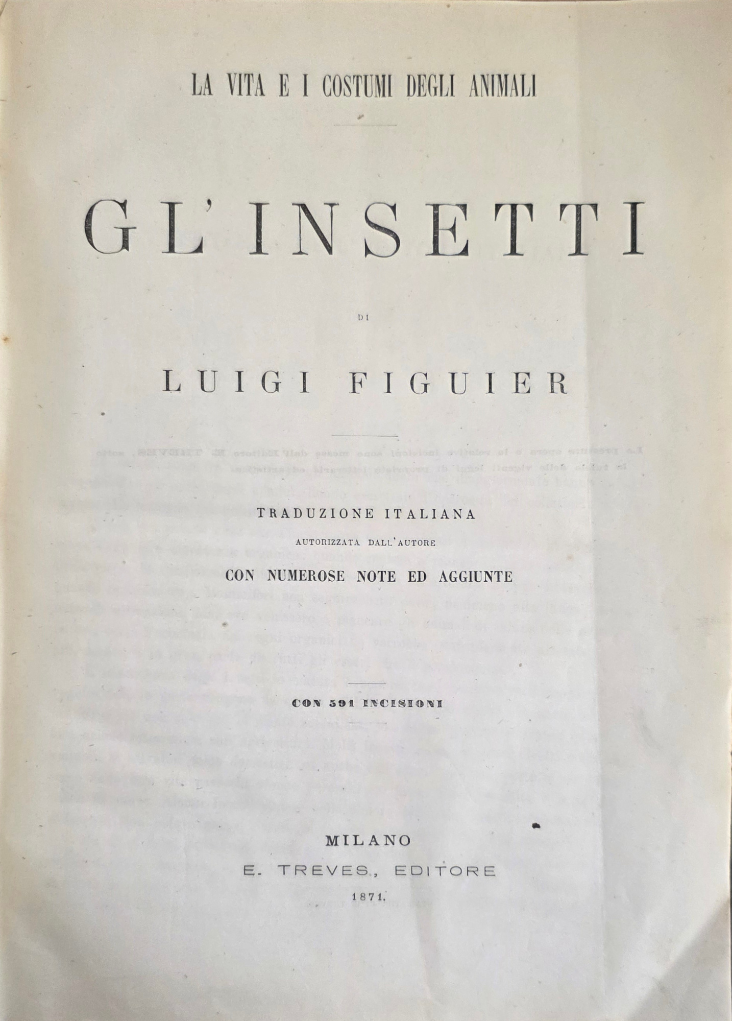 LA VITA E I COSTUMI DEGLI ANIMALI. GL'INSETTI
