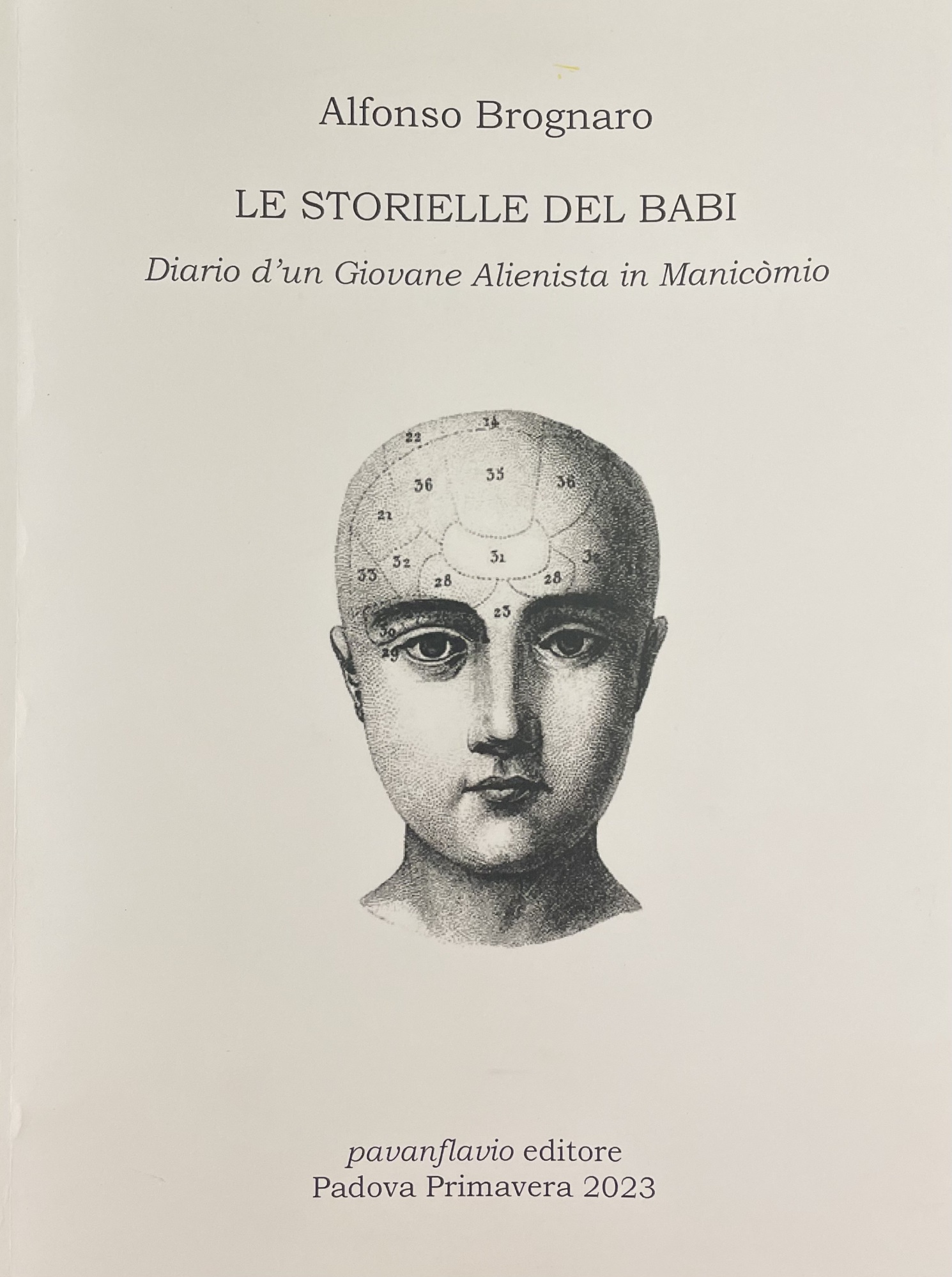 LE STORIELLE DEL BABI. DIARIO D'UN GIOVANE ALIENISTA IN MANICOMIO