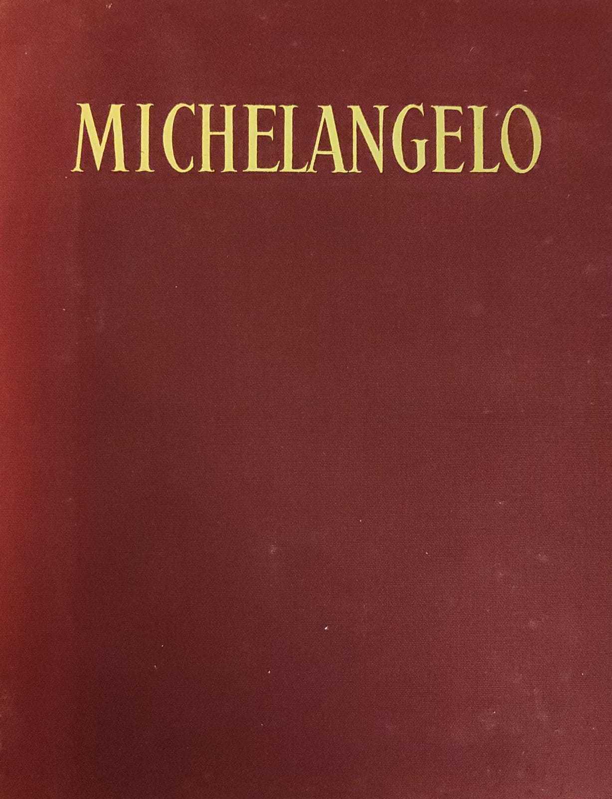 MICHELANGELO