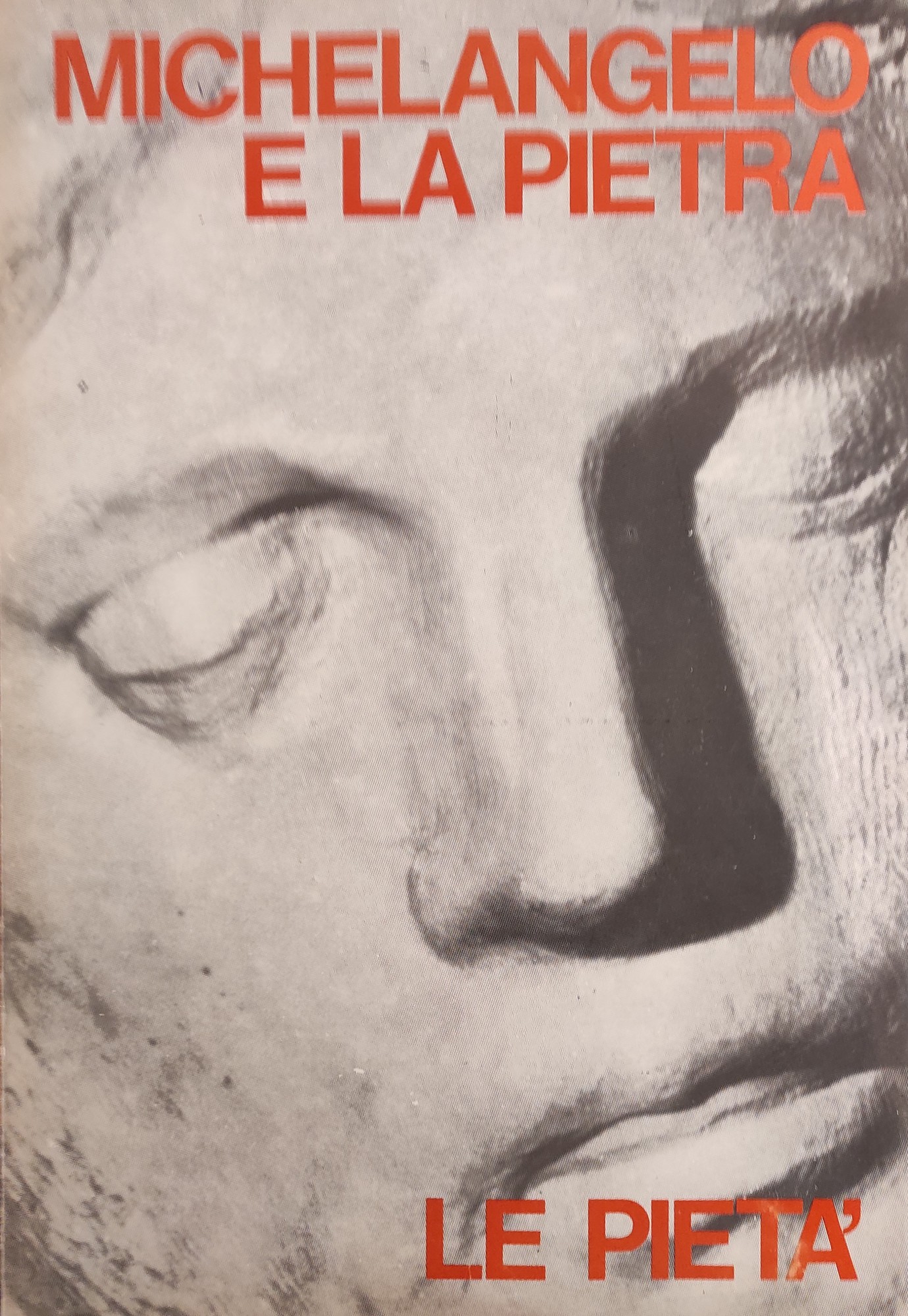 MICHELANGELO E LA PIETRA. LE PIETÀ