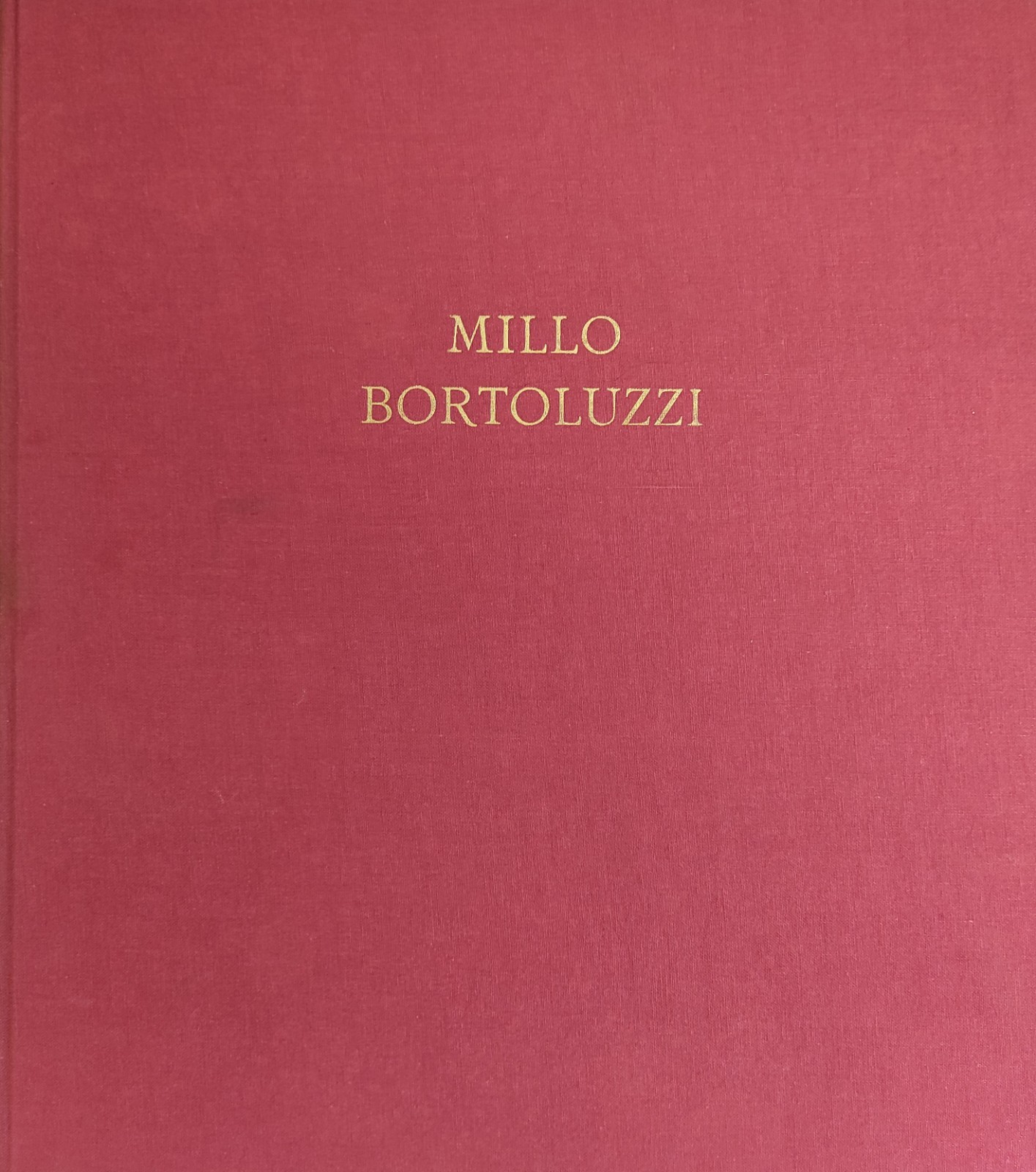 MILLO BORTOLUZZI