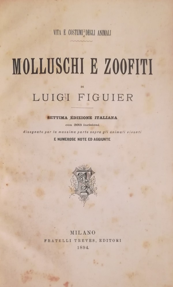 MOLLUSCHI E ZOOFITI