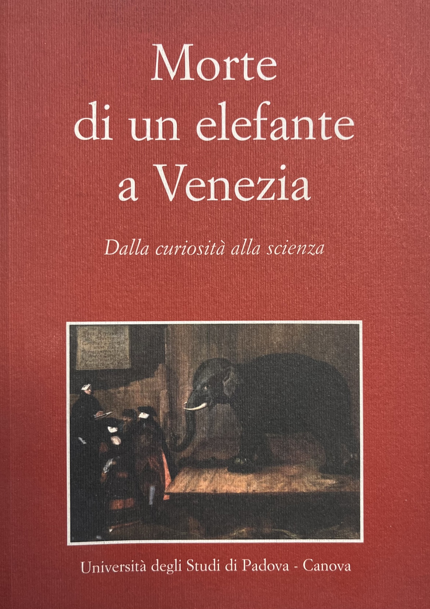 MORTE DI UN ELEFANTE A VENEZIA. DALLA CURIOSITÀ ALLA SCIENZA