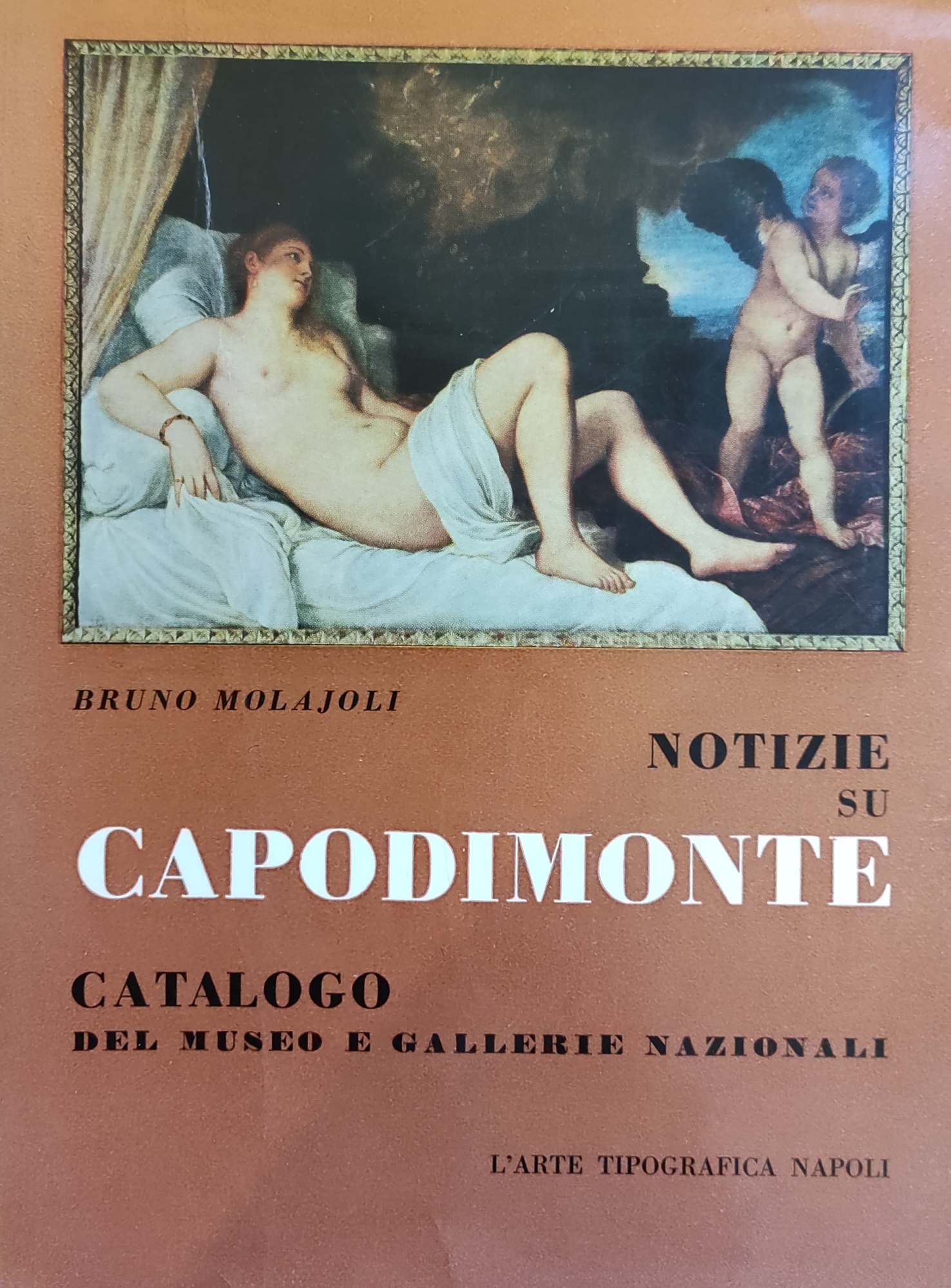 NOTIZIE SU CAPODIMONTE. CATALOGO DELLE GALLERIE E DEL MUSEO
