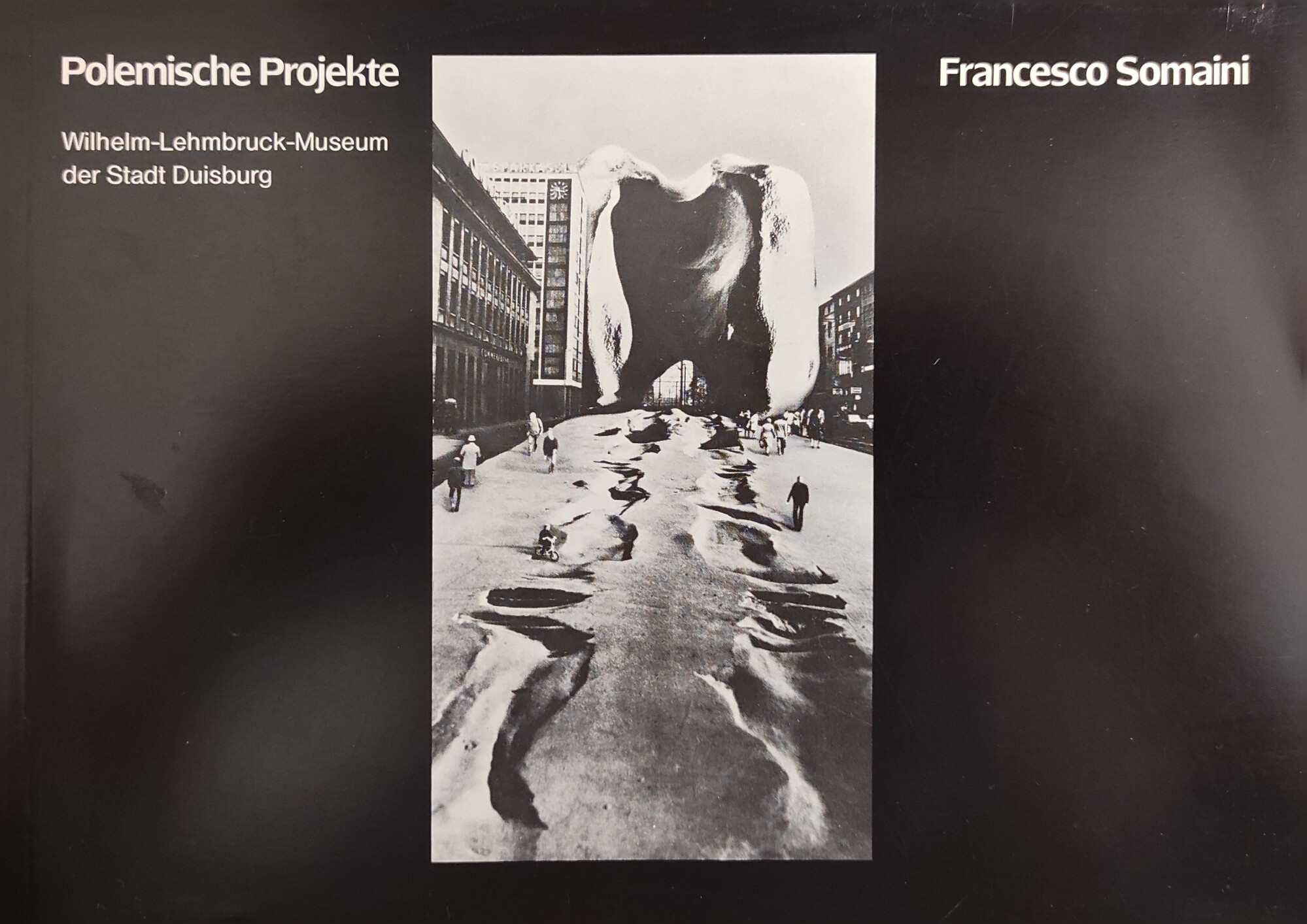 POLEMISCHE PROJEKTE. FRANCESCO SOMAINI