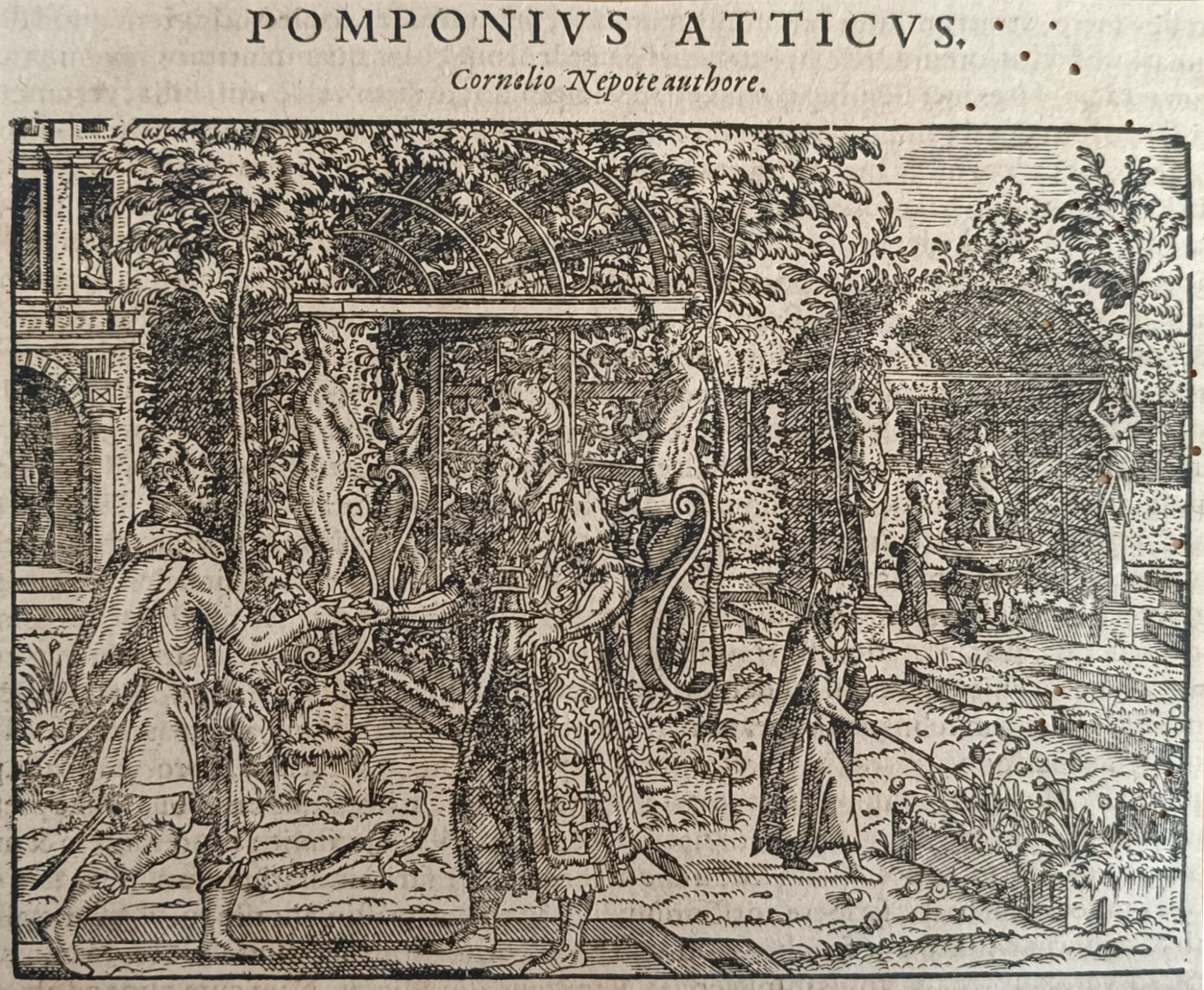 POMPONIVS ATTICVS