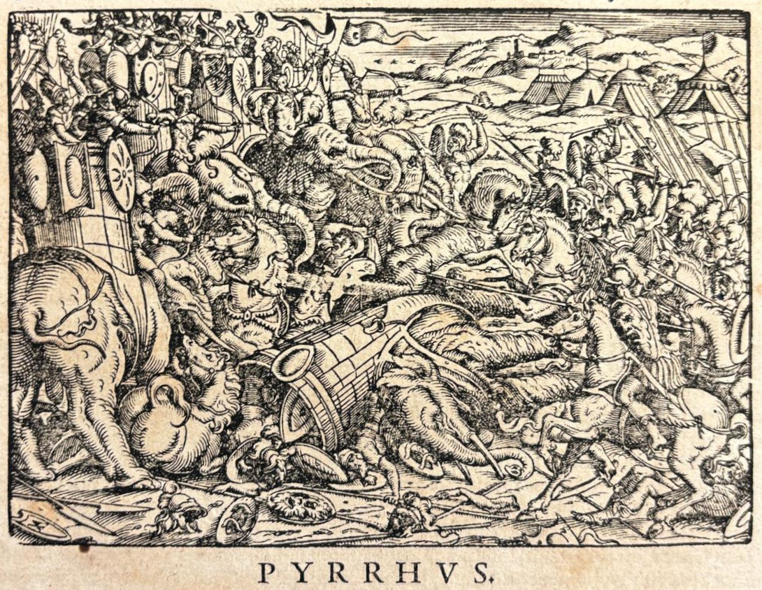 PYRRHVS