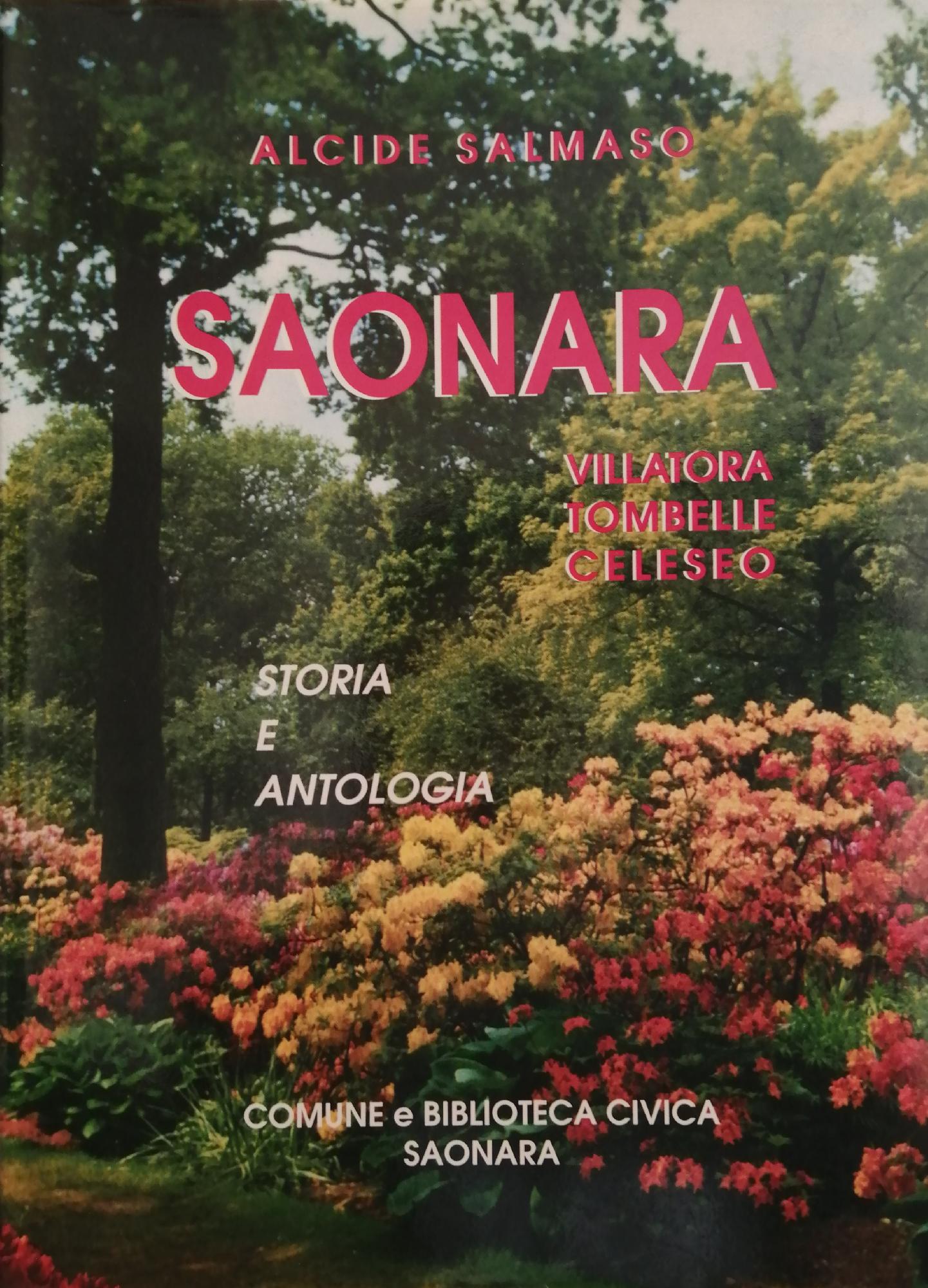 SAONARA VILLATORA TOMBELLE CELESEO. STORIA E ANTOLOGIA