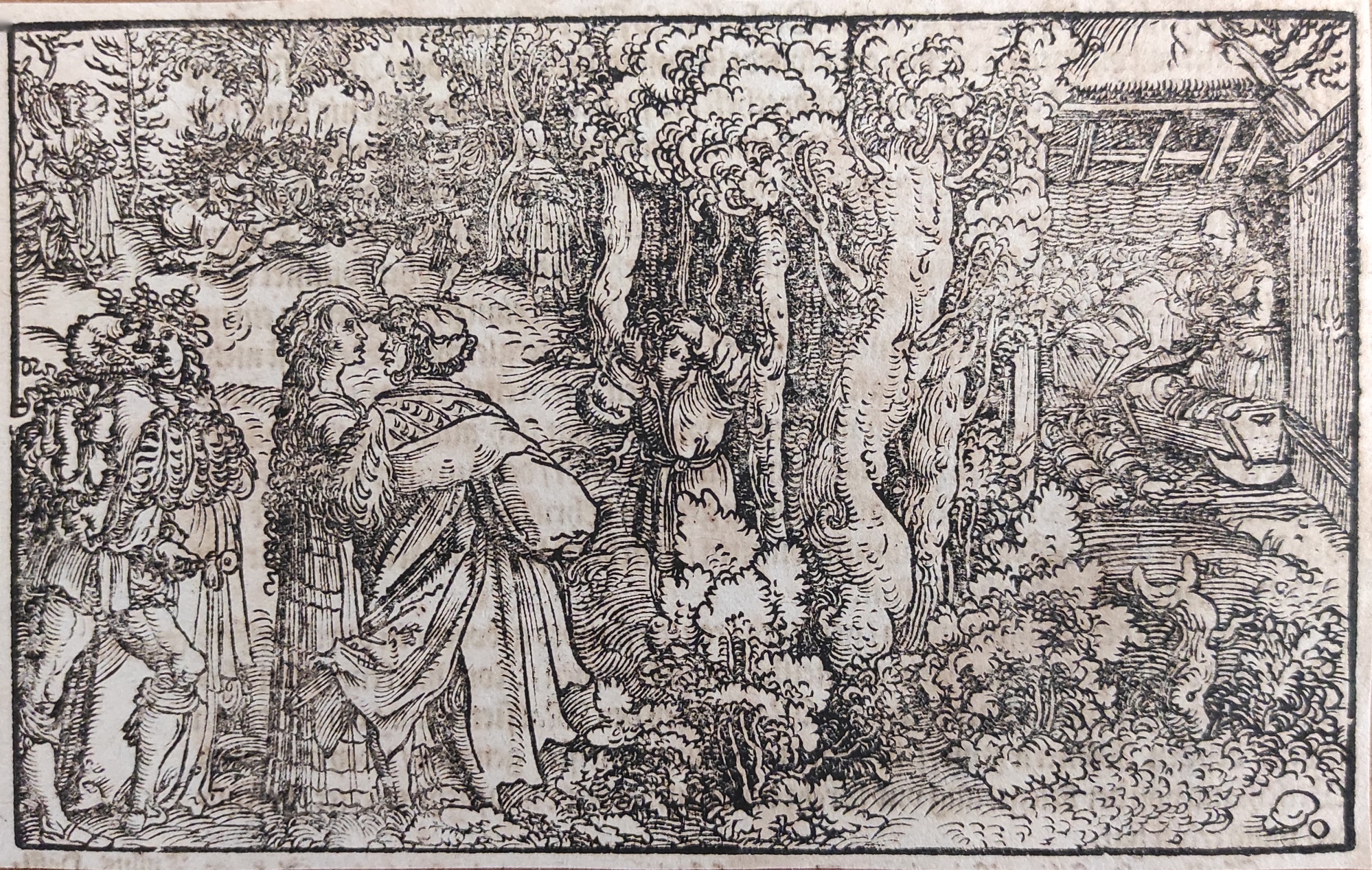 SCENA PER IL "DE REMEDIIS FORTUNAE" DI PETRARCA