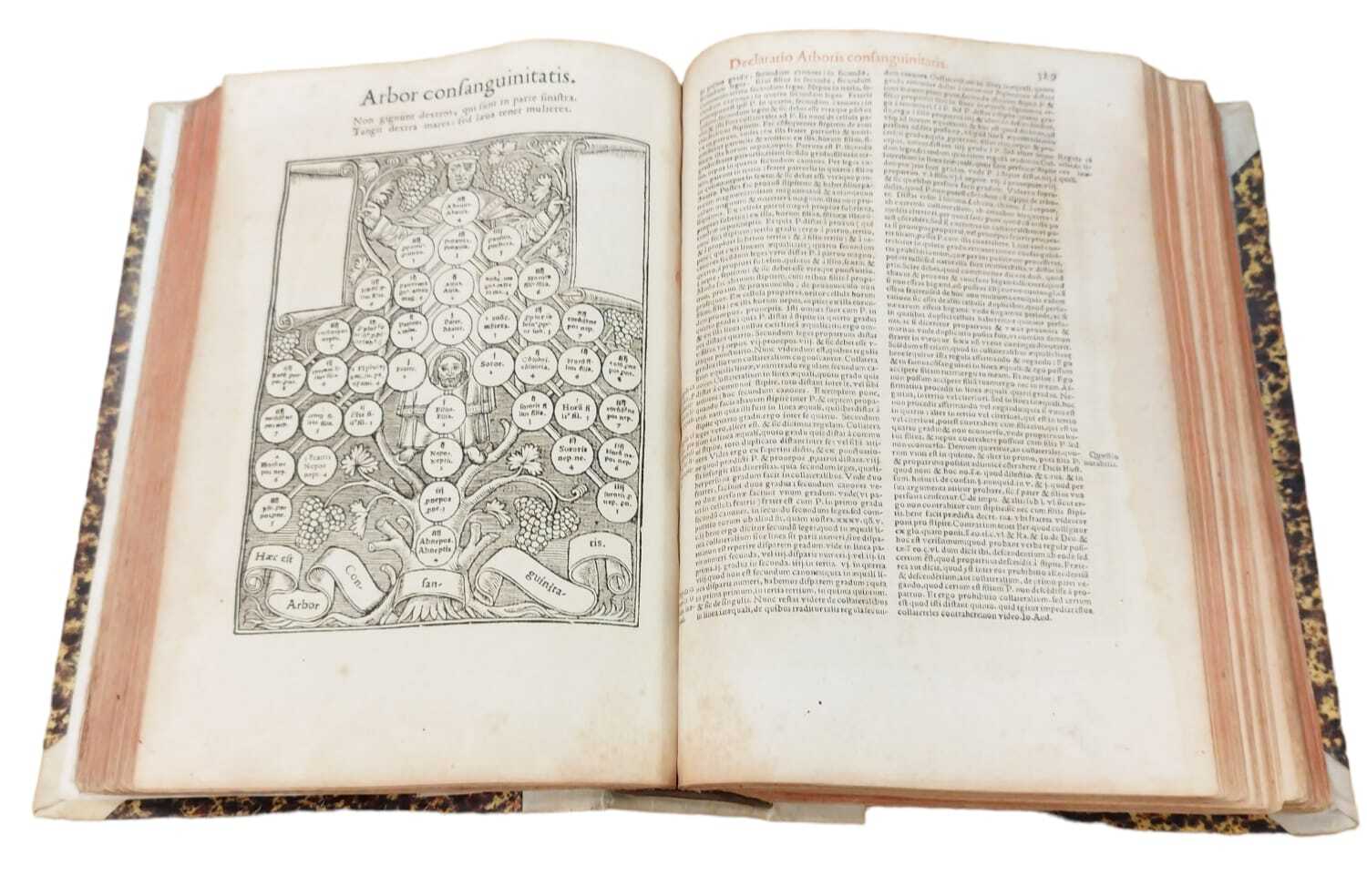 SEXTUS LIBER DECRETALIUM CUM EPITOMIS, DIVISIONIBUS, ET GLOSSA ORDINARIA [...]