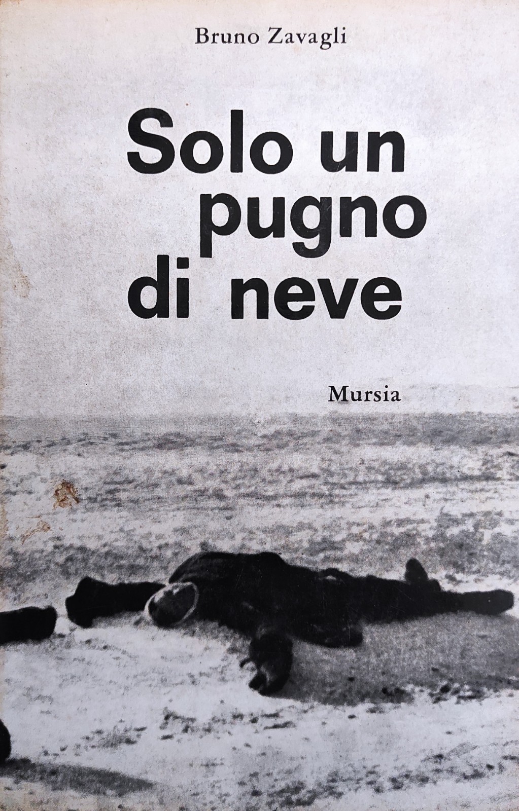 SOLO UN PUGNO DI NEVE