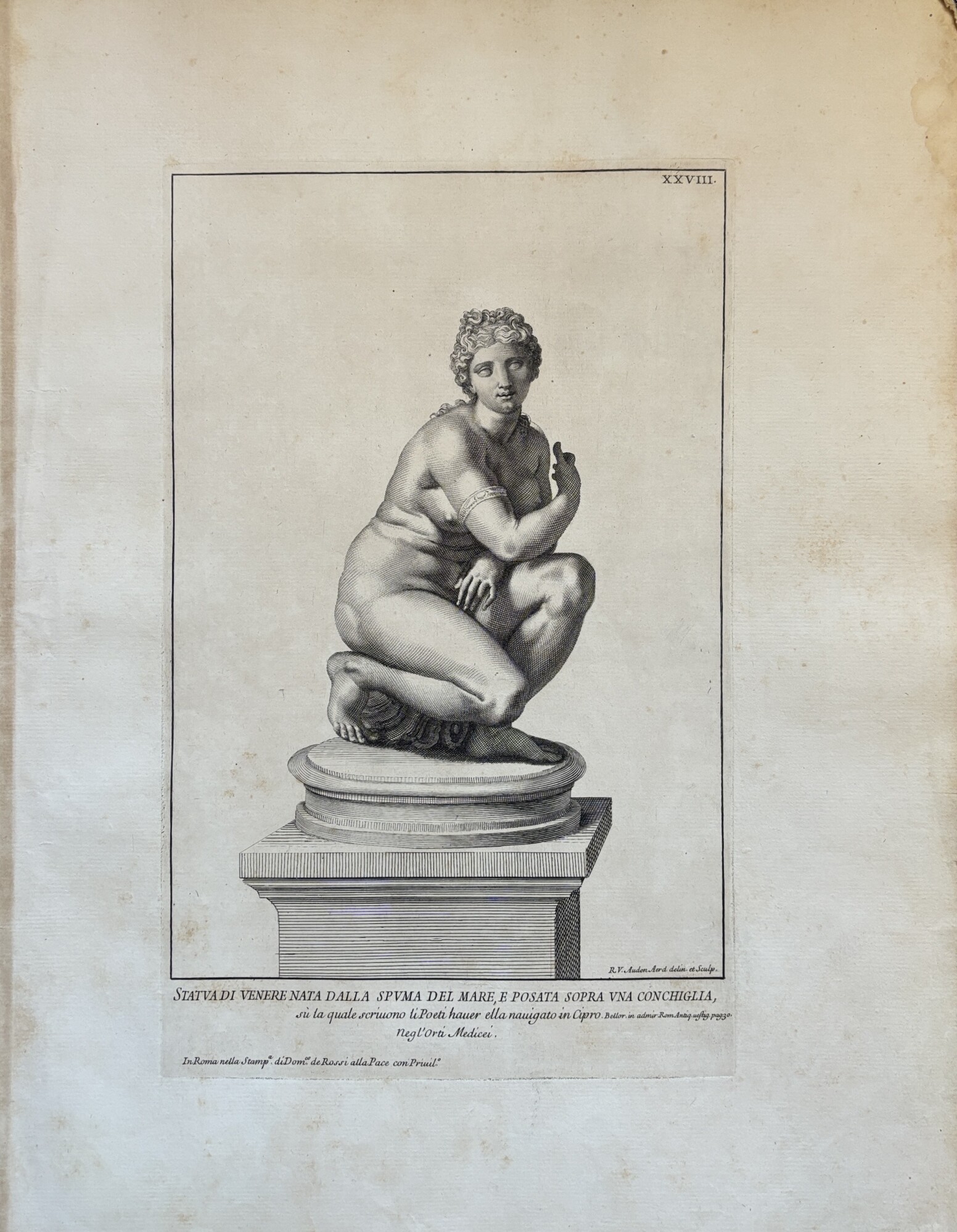 STATUA DI VENERE NATA DALLA SPUMA DEL MARE E POSATA …
