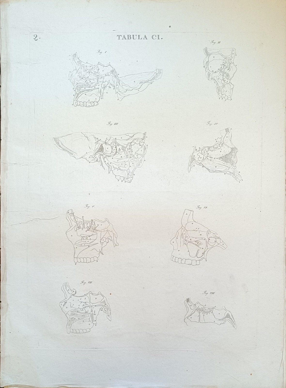 TABULA ANATOMICA CI.