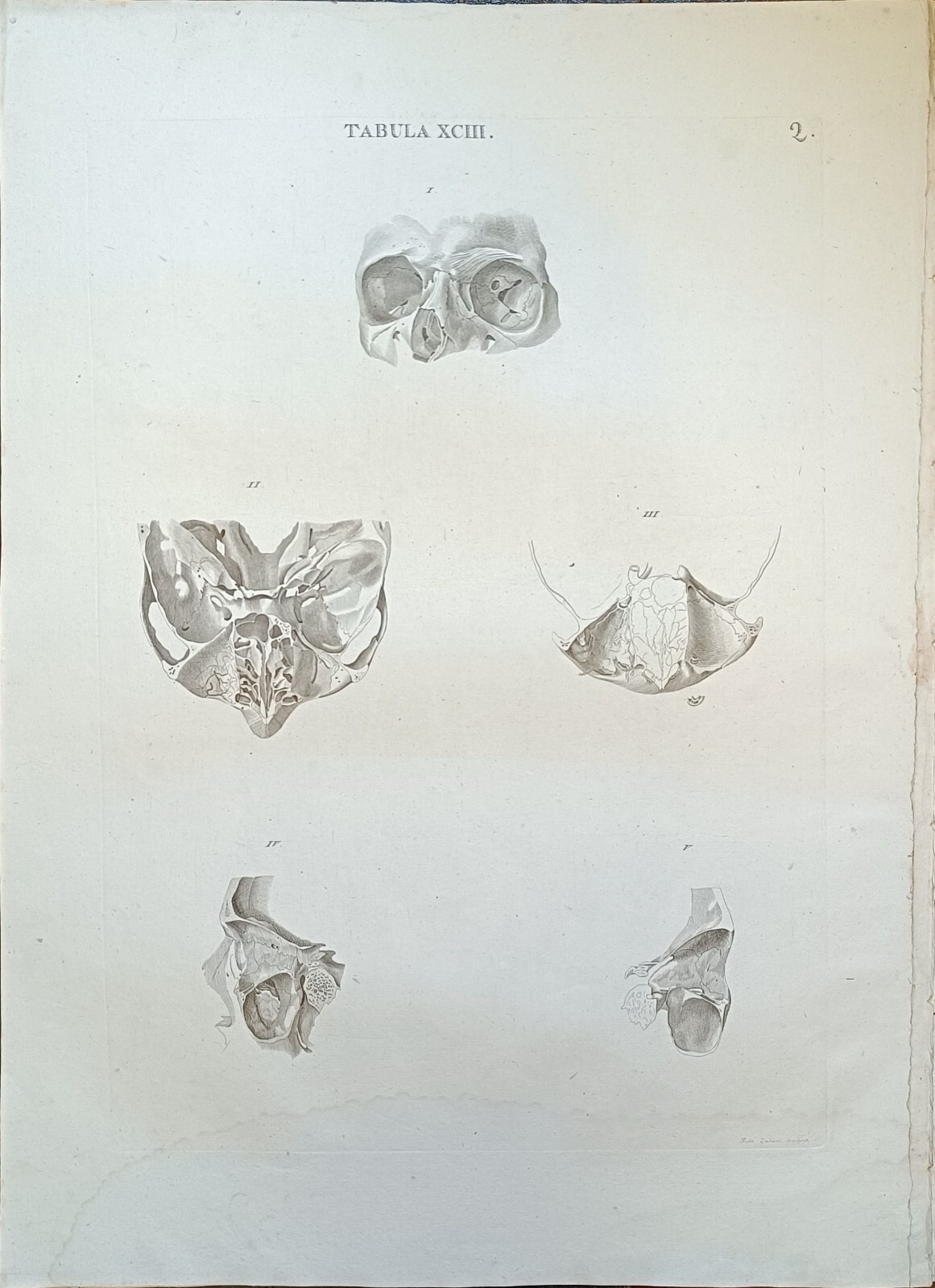 TABULA ANATOMICA XCIII