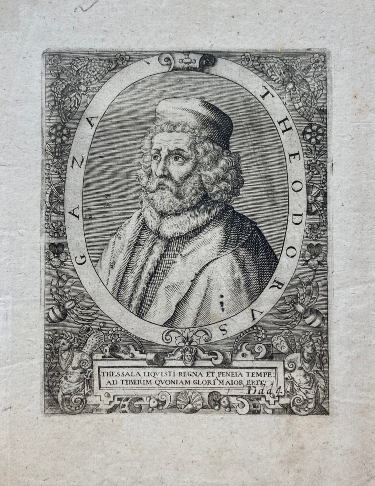TEODORO GAZA