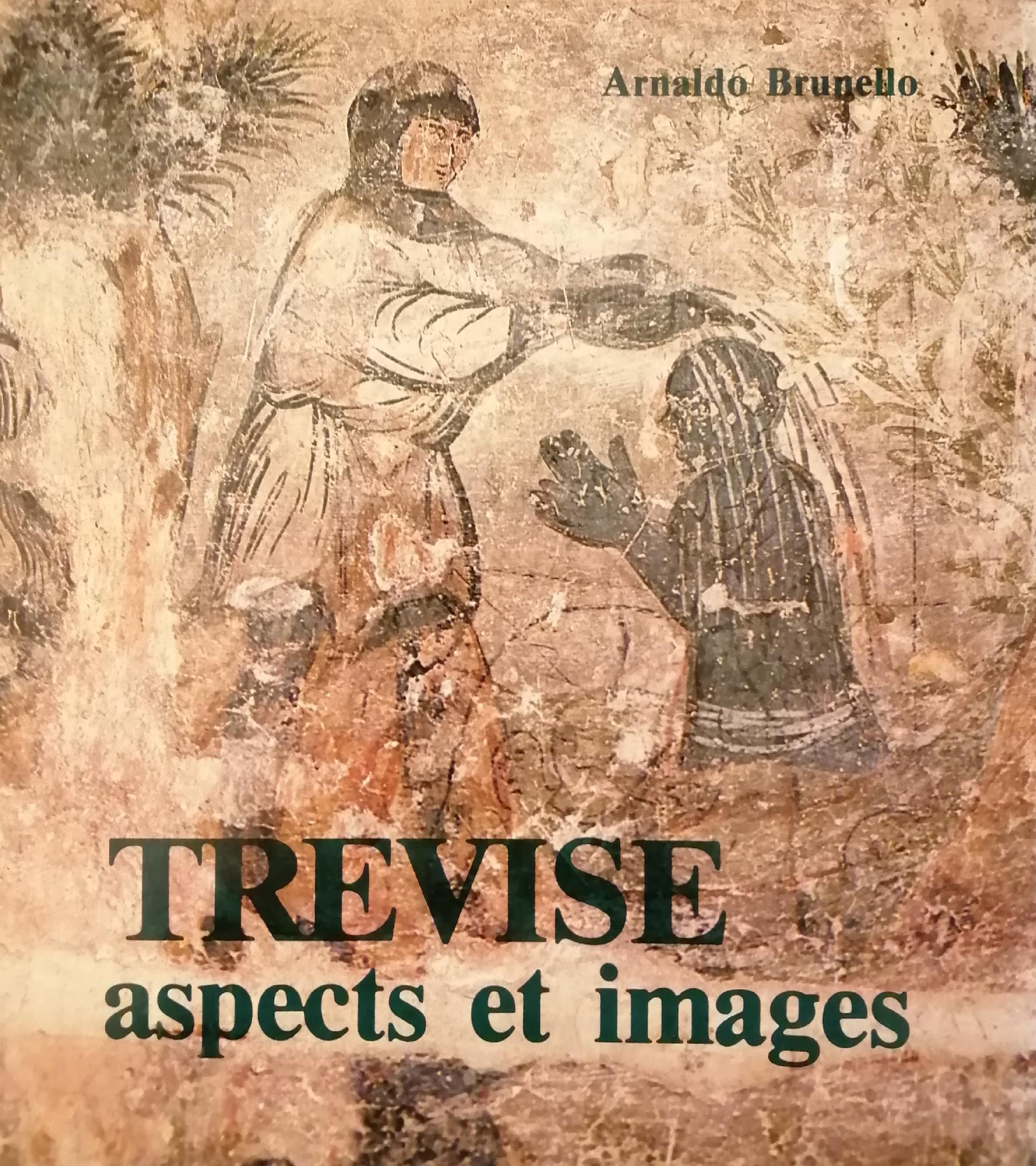 TREVISE ASPECTS ET IMAGES