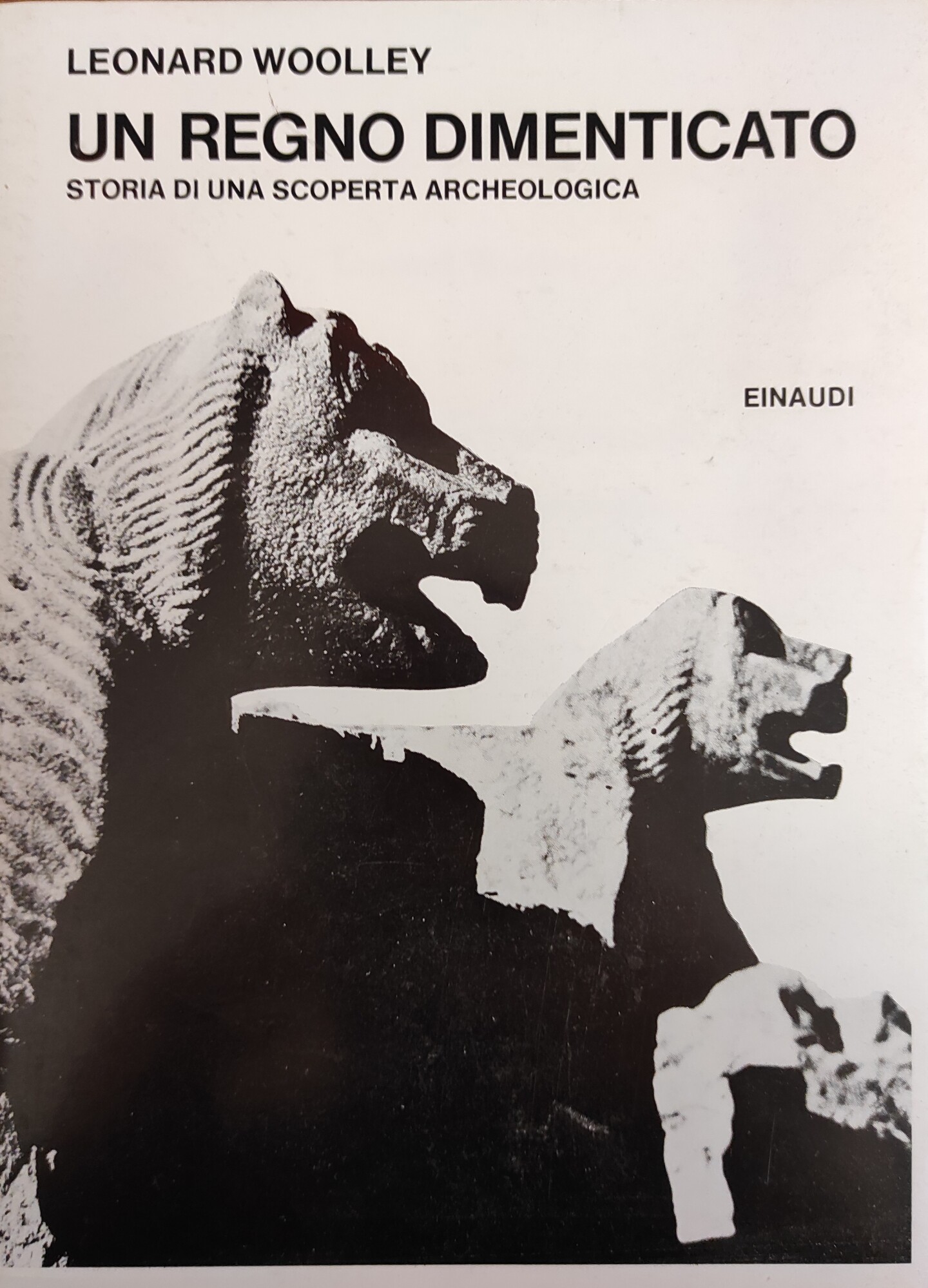 UN REGNO DIMENTICATO. STORIA DI UNA SCOPERTA ARCHEOLOGICA