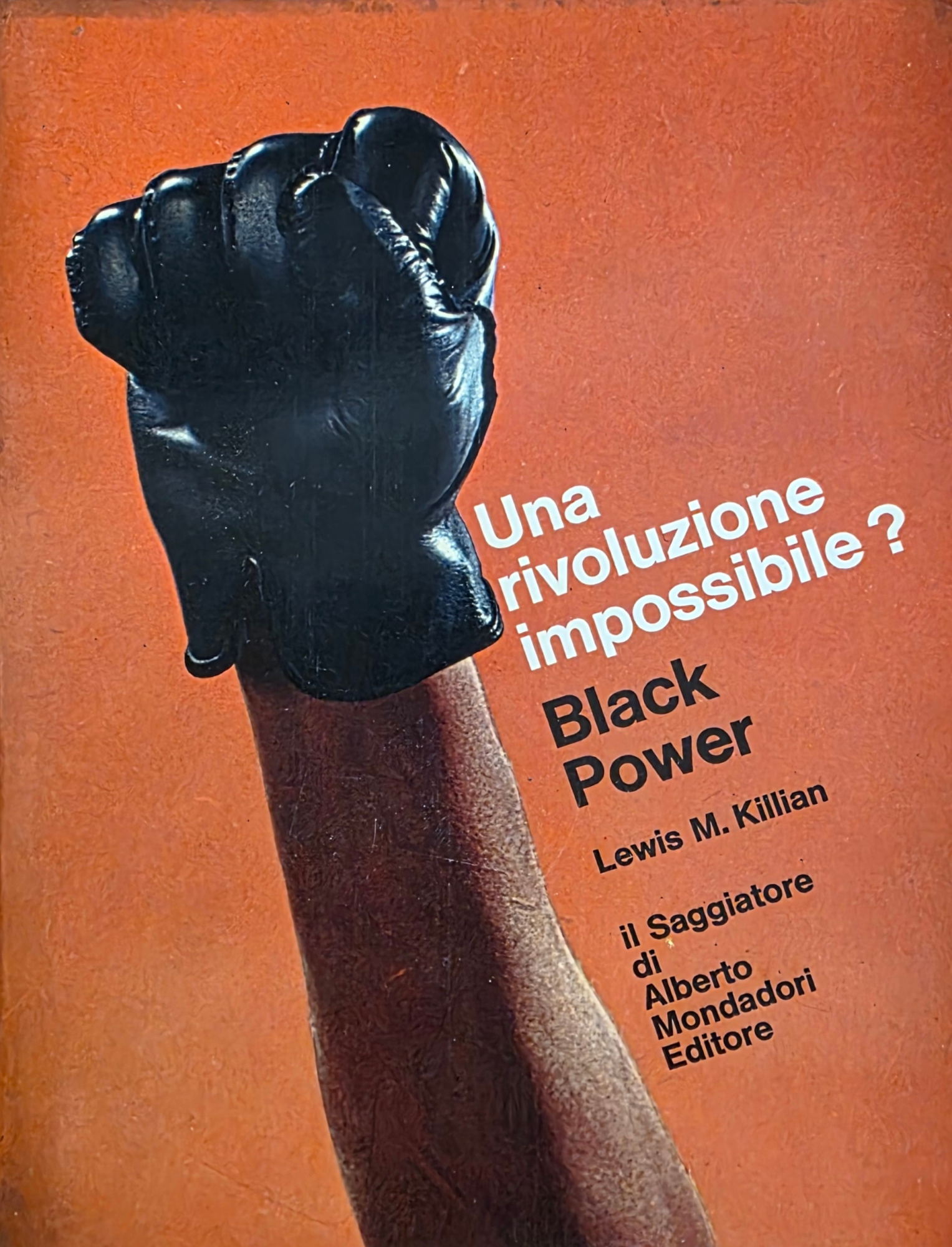 UNA RIVOLUZIONE IMPOSSIBILE? BLACK POWER