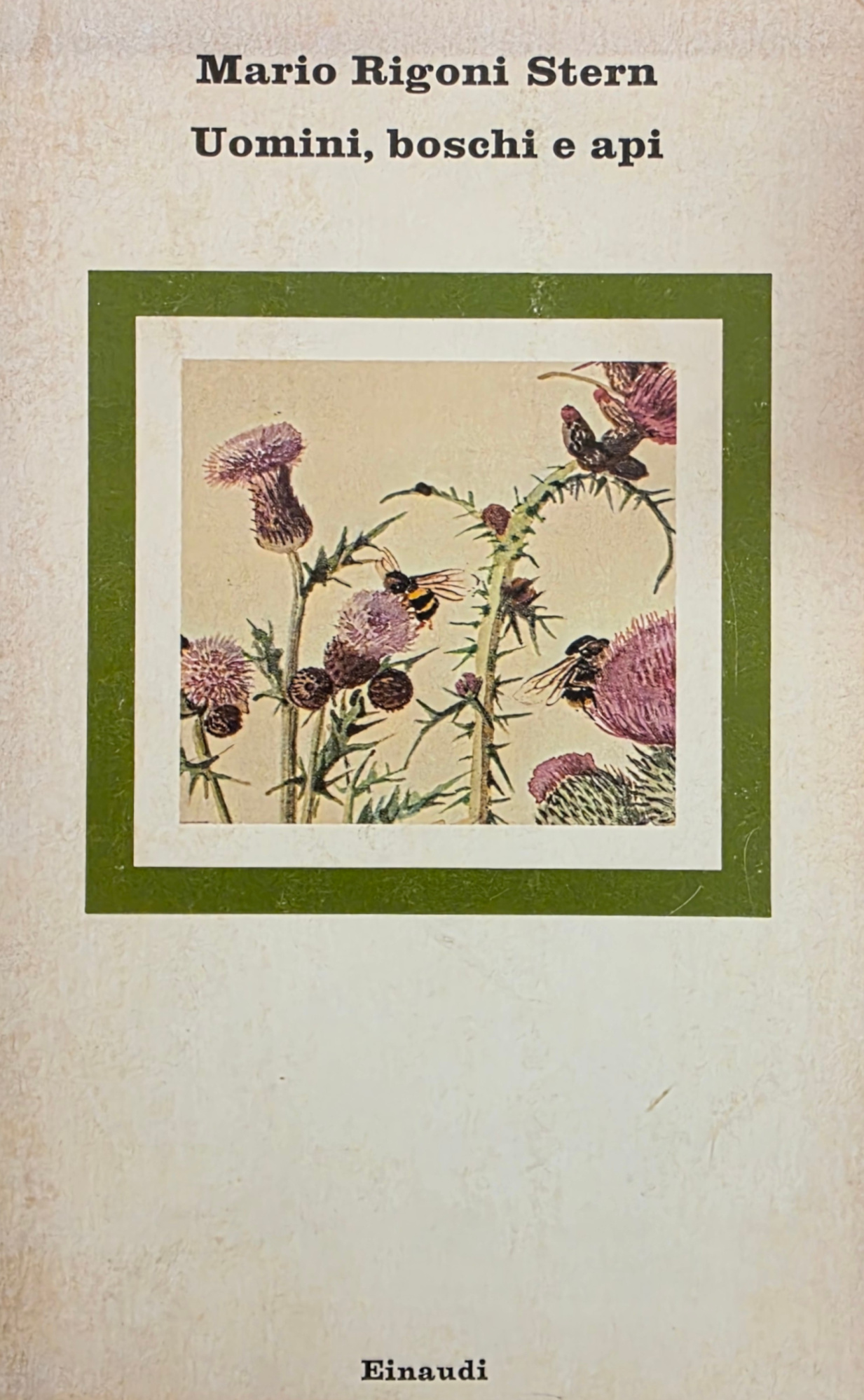 UOMINI, BOSCHI E API